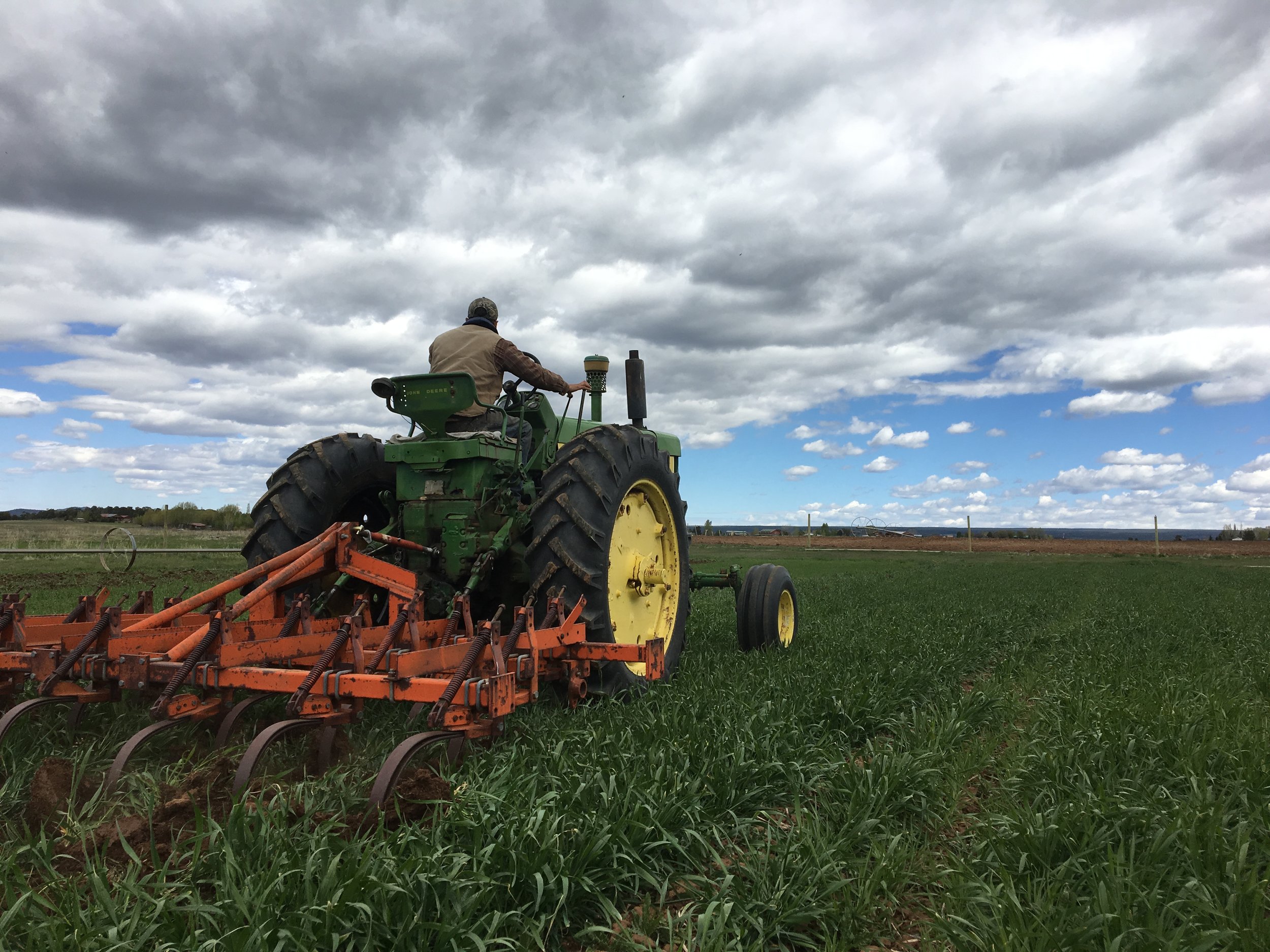 Field prep step one - terminate the cover crop