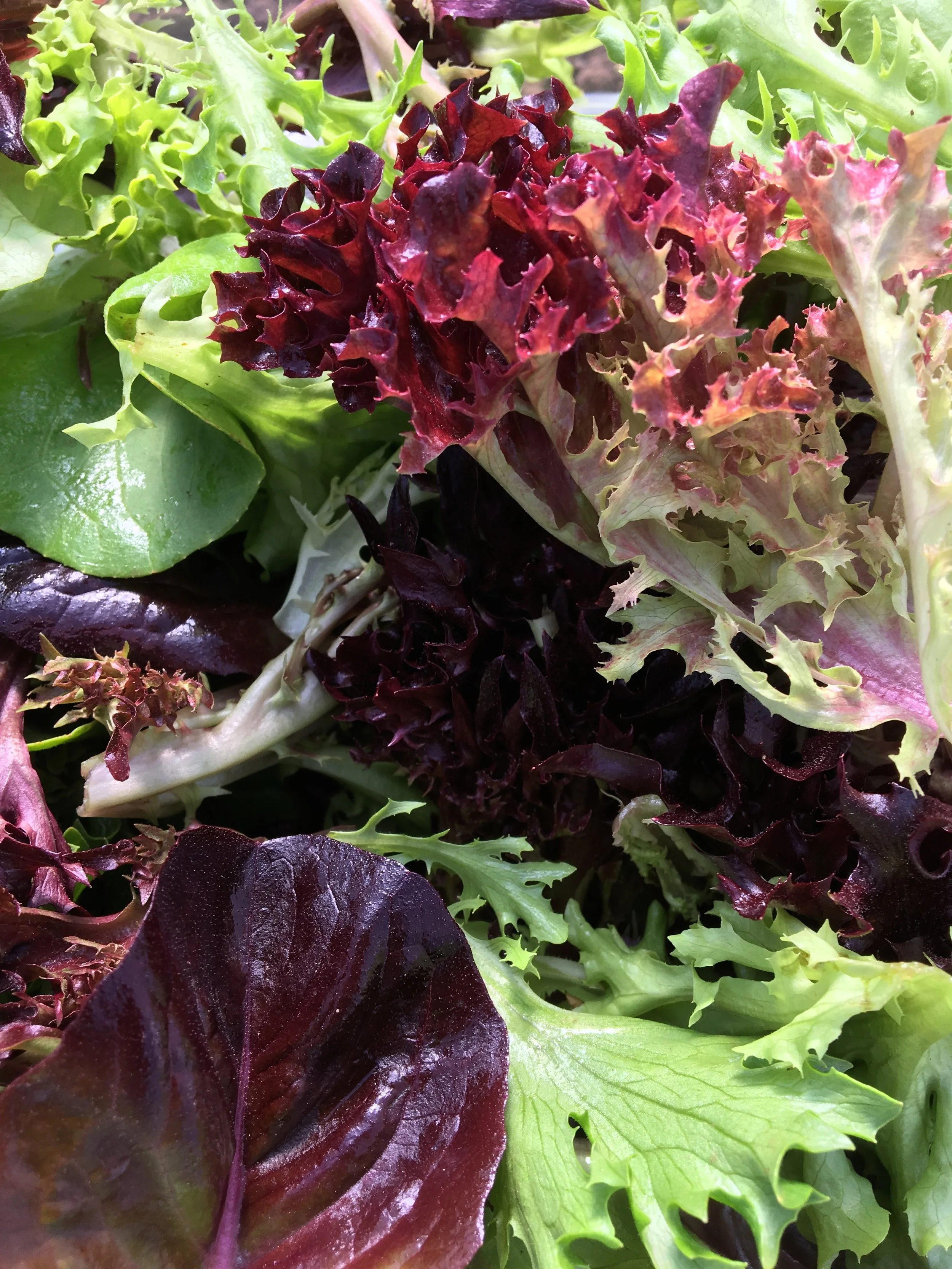 Fresh greens taste so good! 