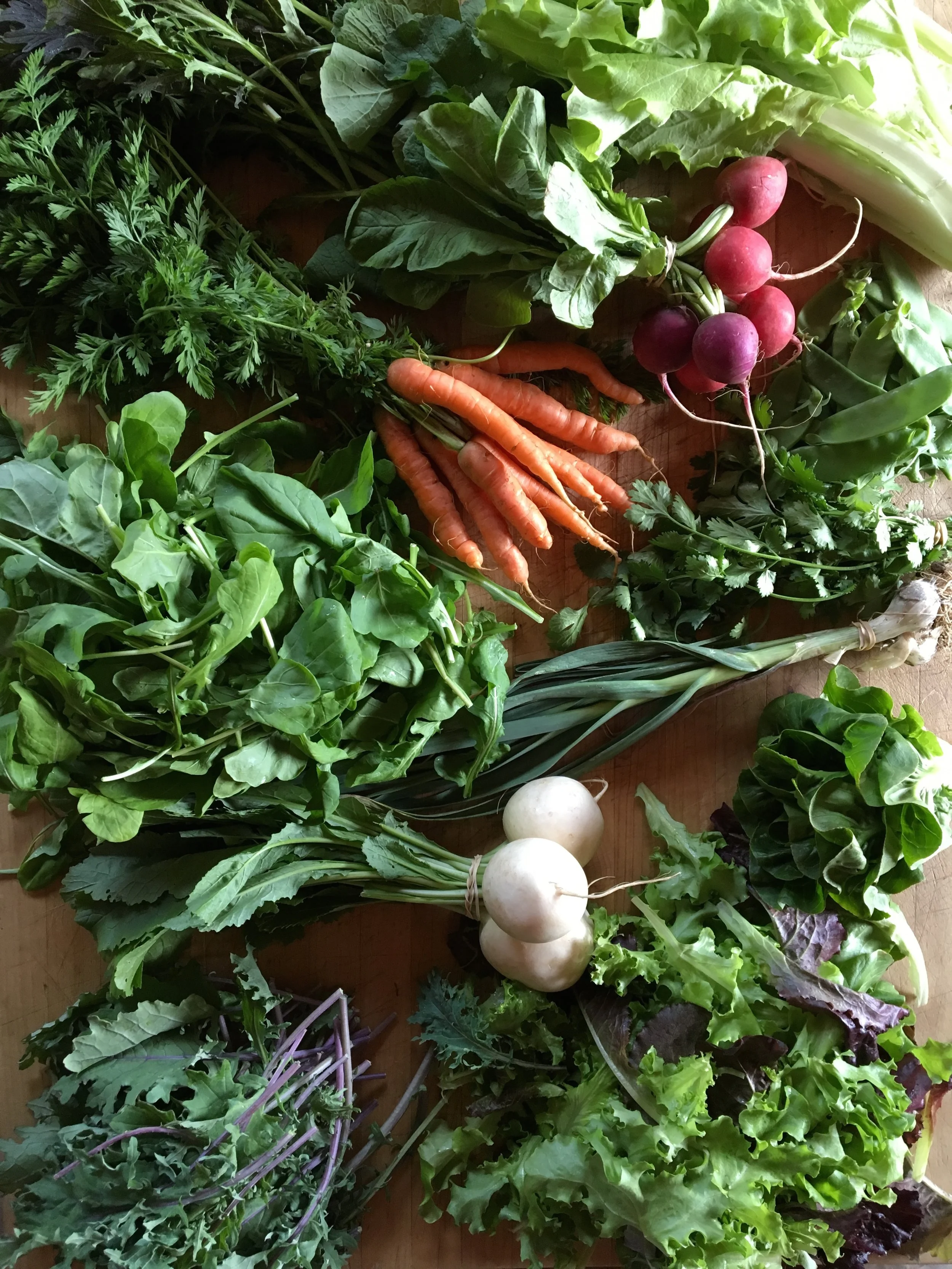 CSA Harvest - Week #1