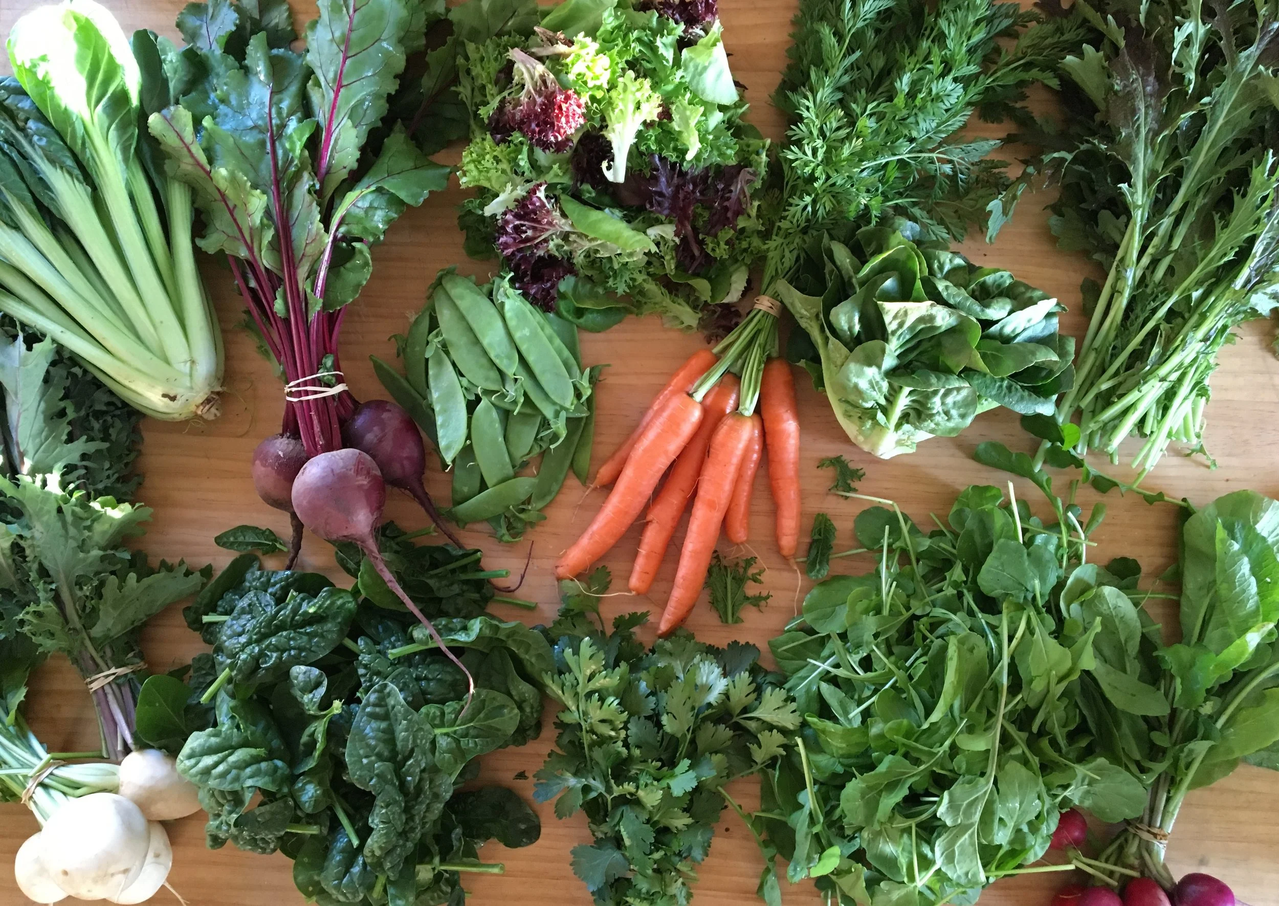 CSA Harvest - Week #2