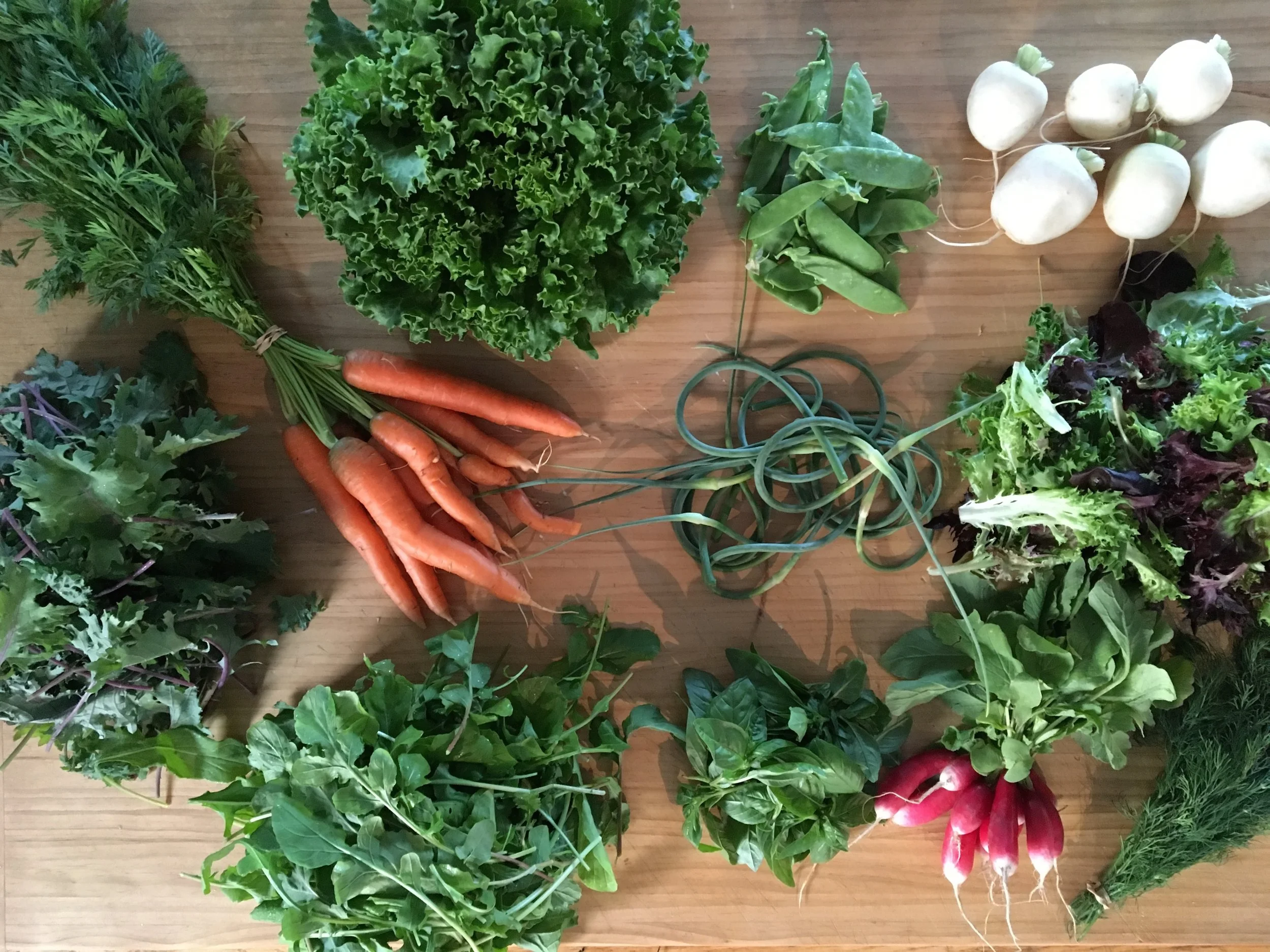 CSA Week #3 - Carrots, Head Lettuce, Snow Peas, Hakurei Turnips, Baby Kale, Garlic Scapes, Salad Greens, Arugula, Basil, Radishes and Dill. 