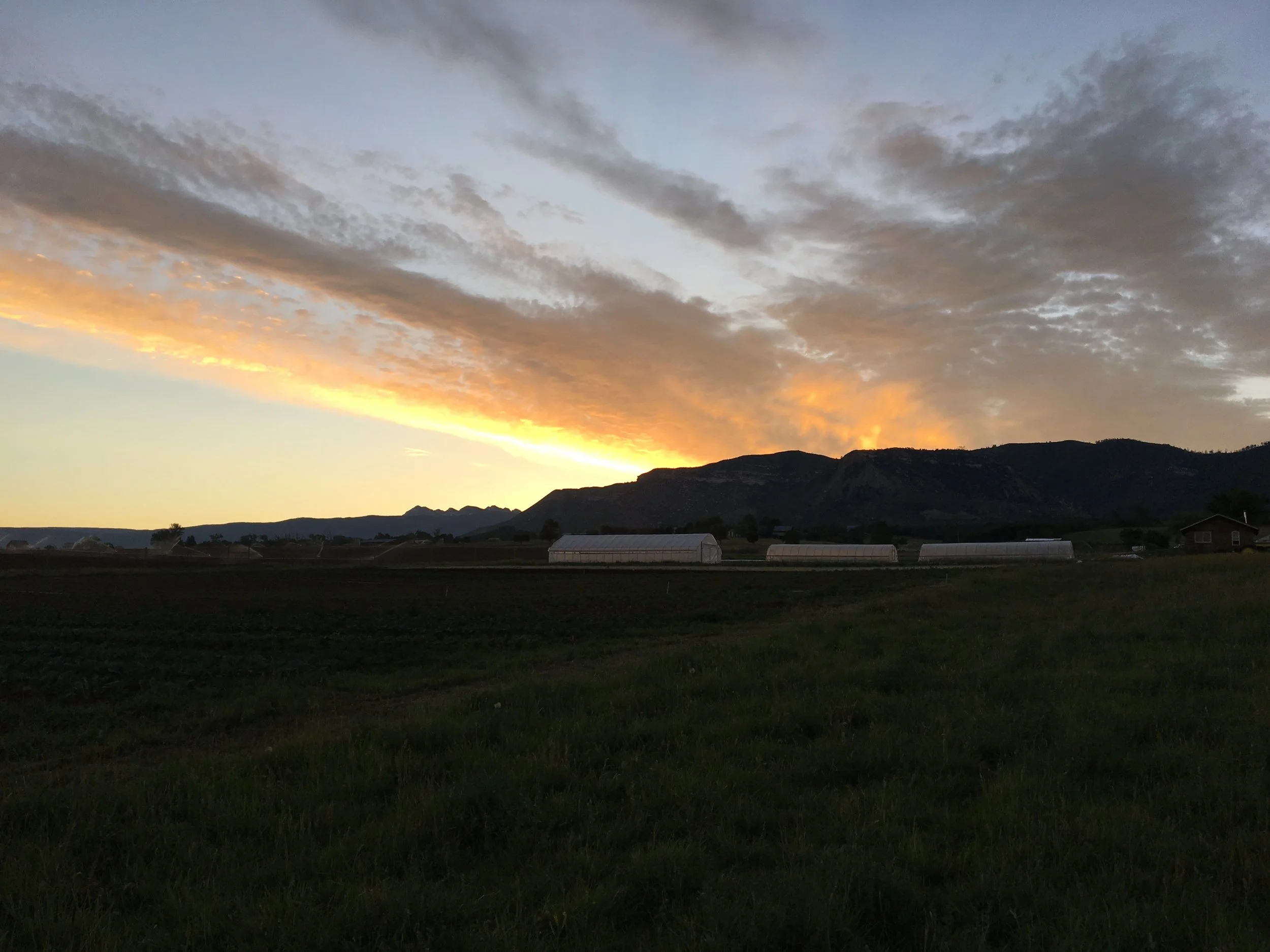 Sunrise