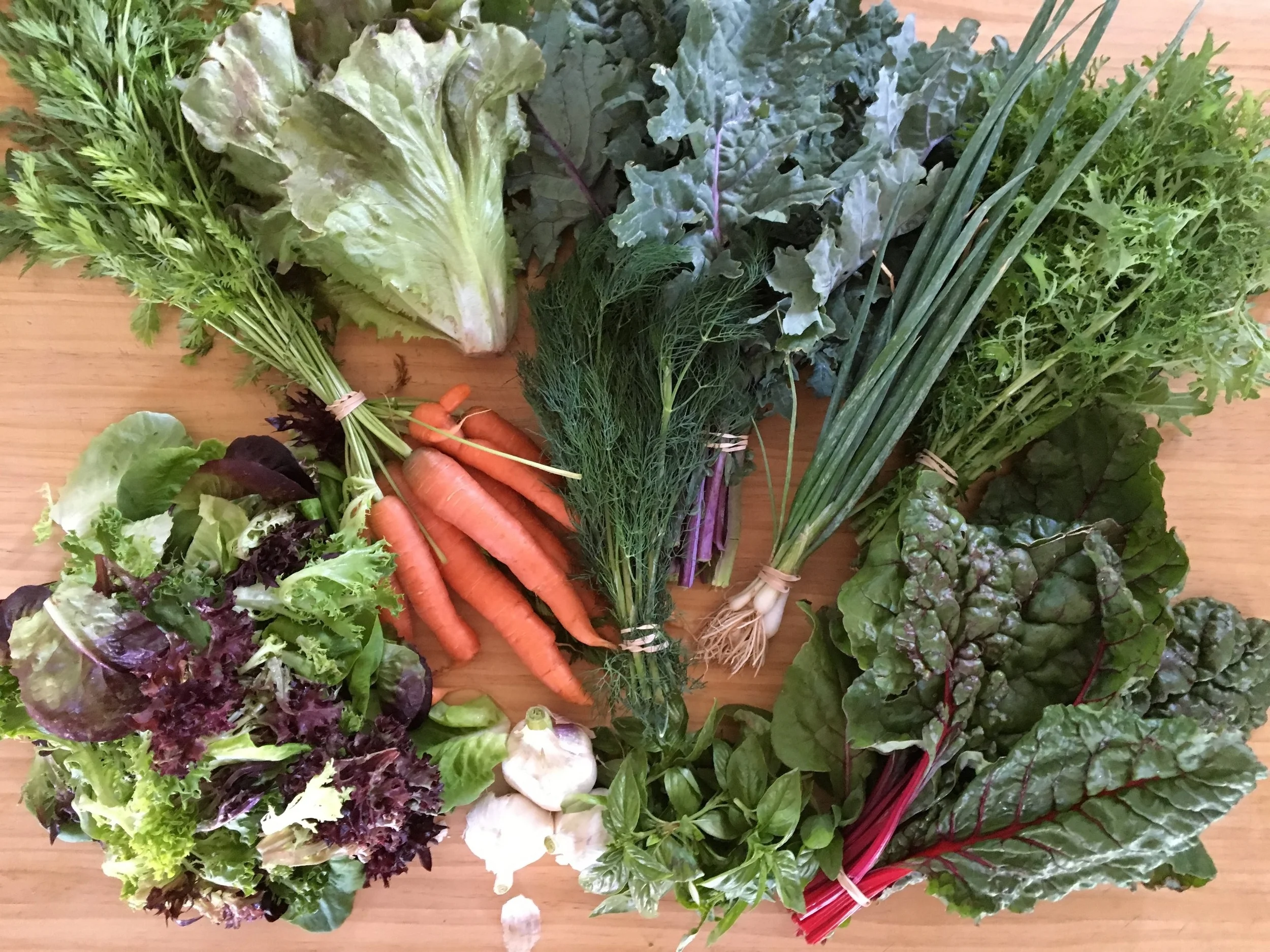 CSA Share - Week #5