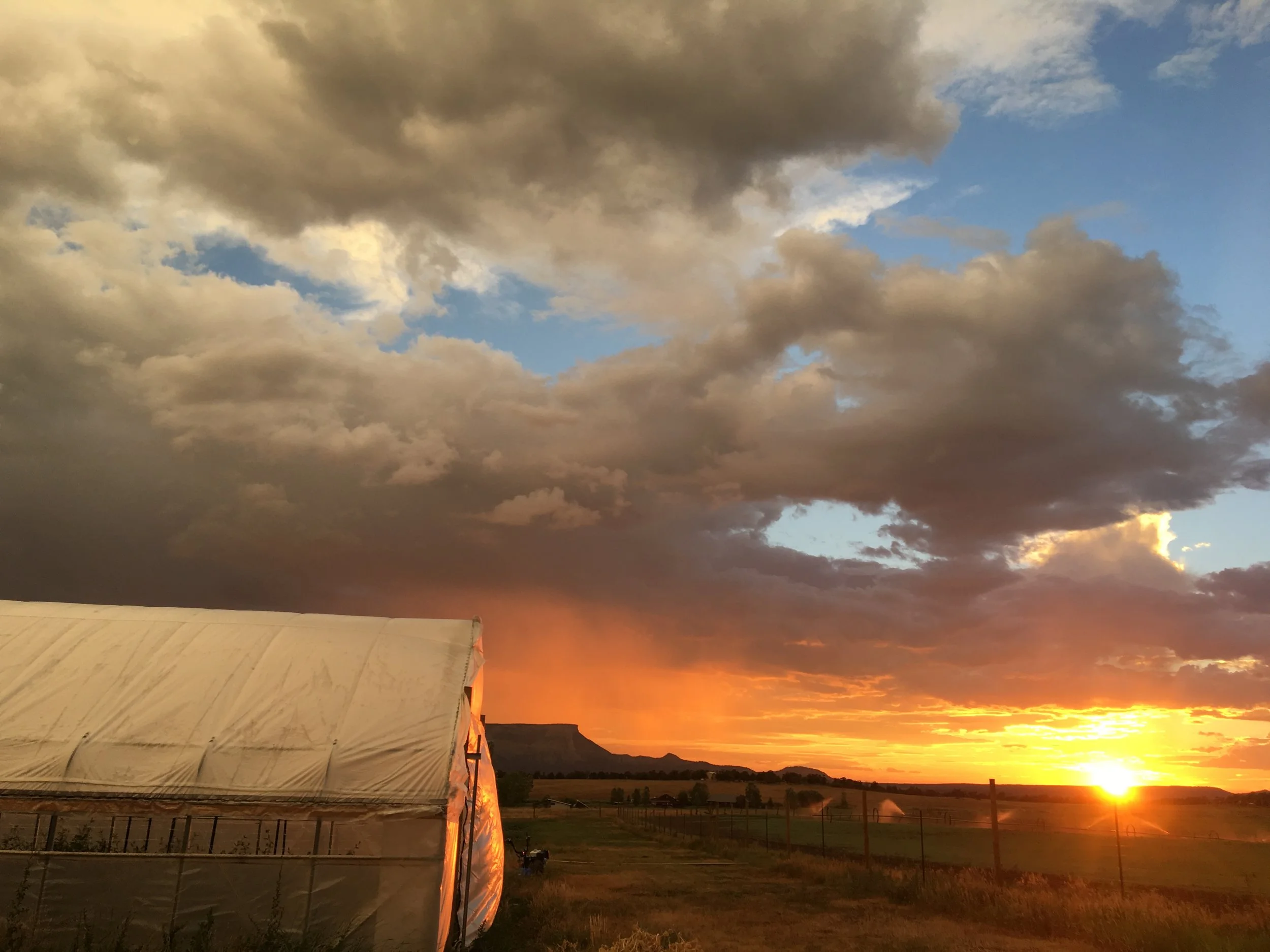 Sunset post rain storm, so incredible. 
