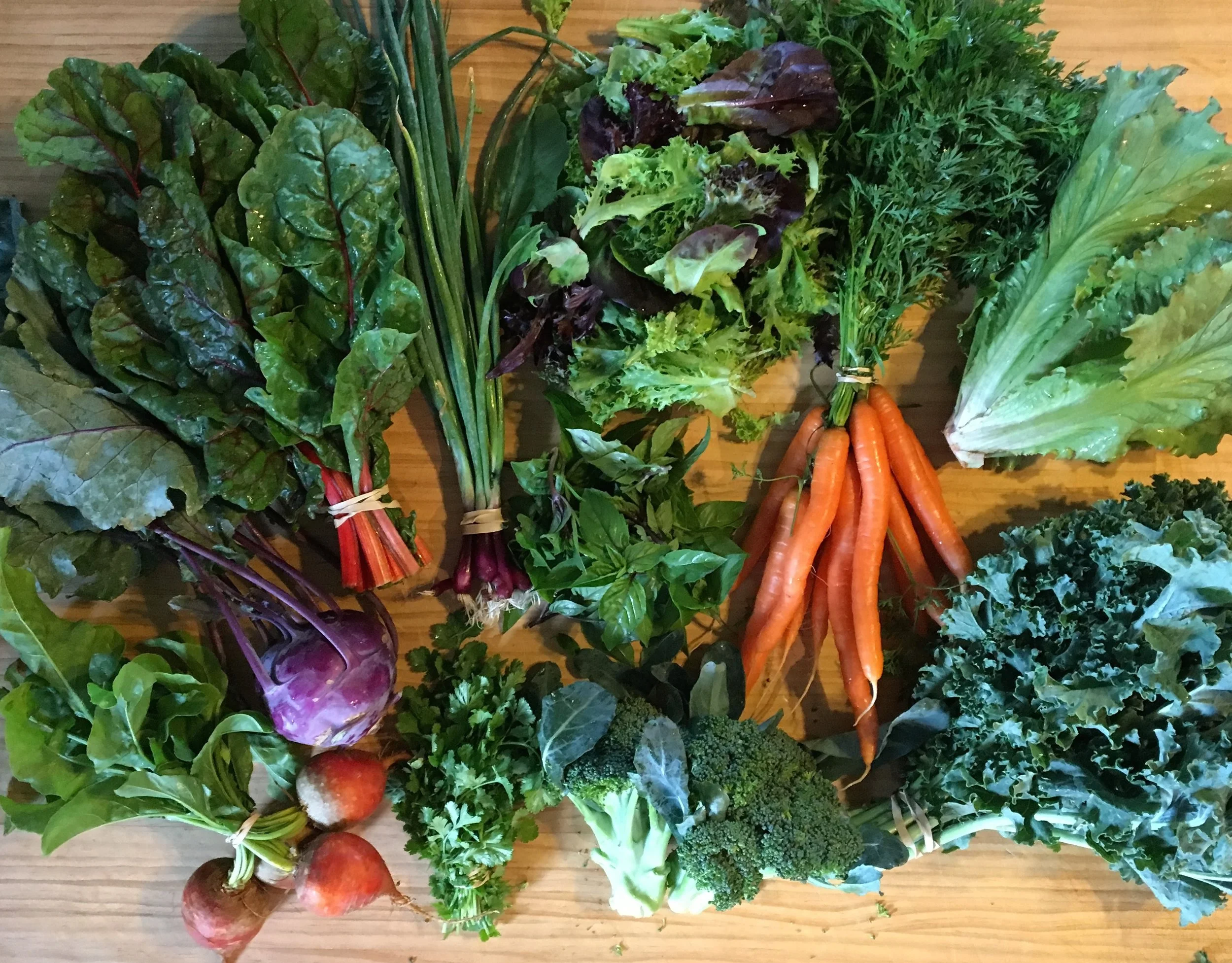 CSA Harvest - Week #8