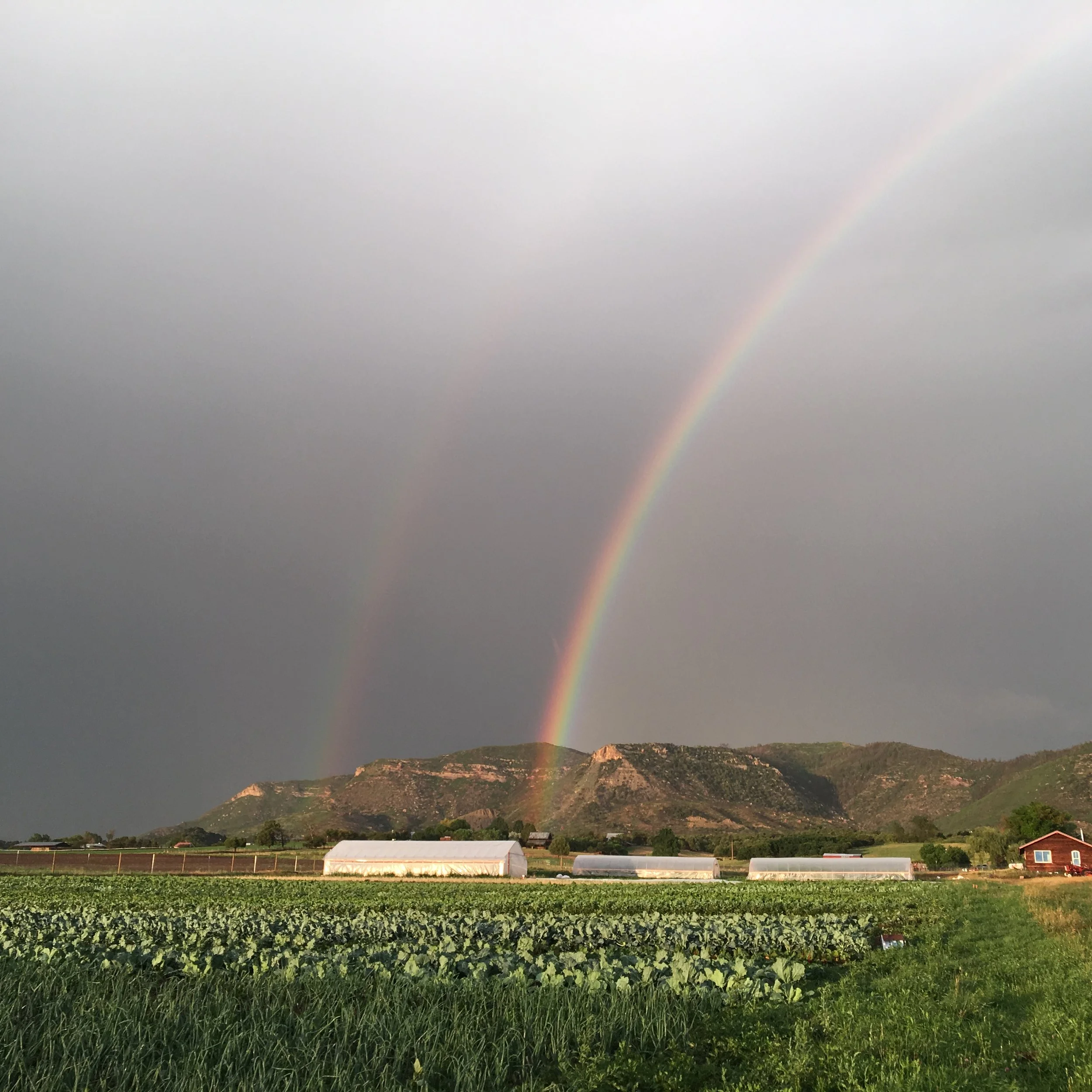 Double rainbow!