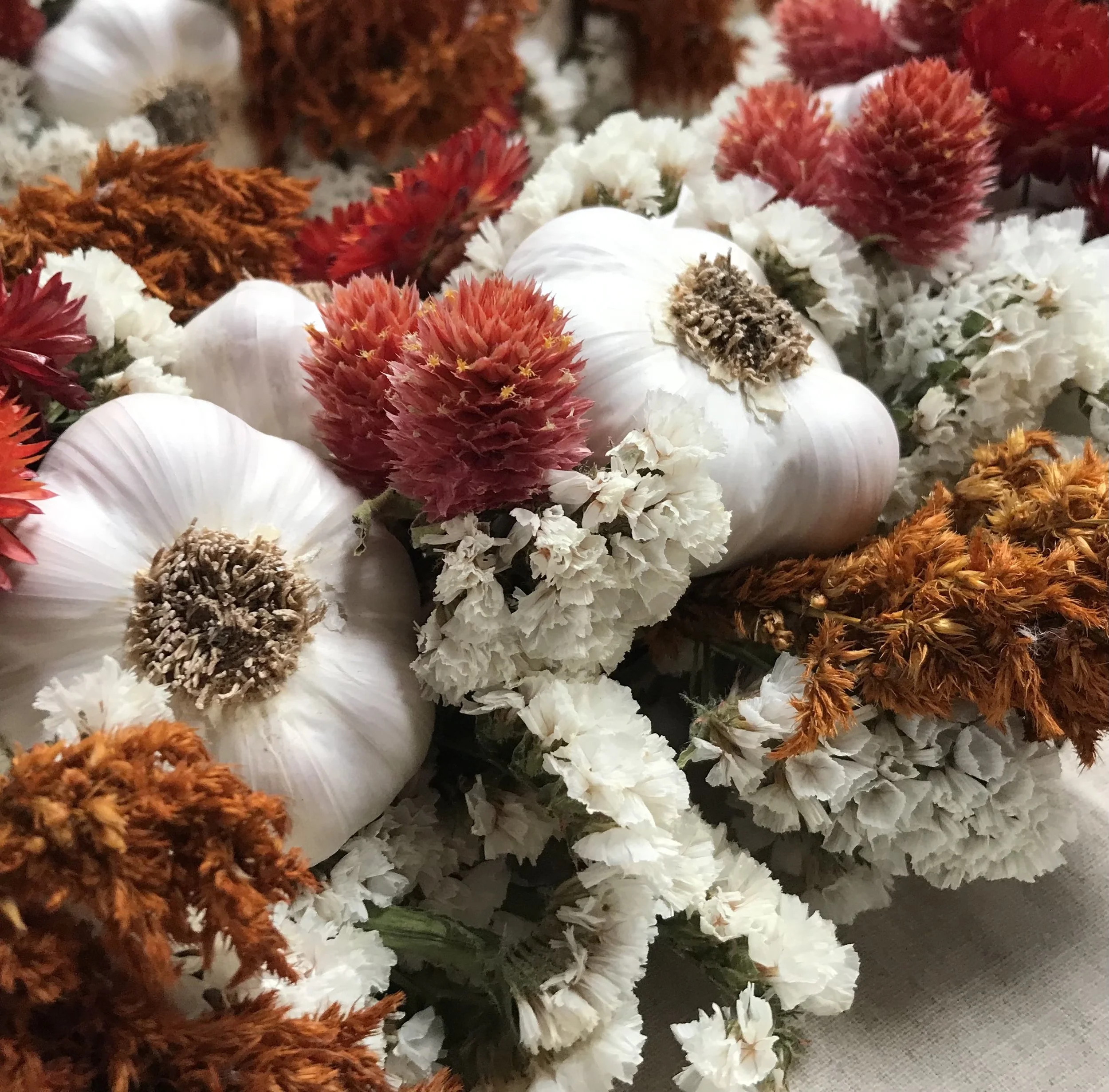 Touch of Fall Garlic Braid.2.jpg