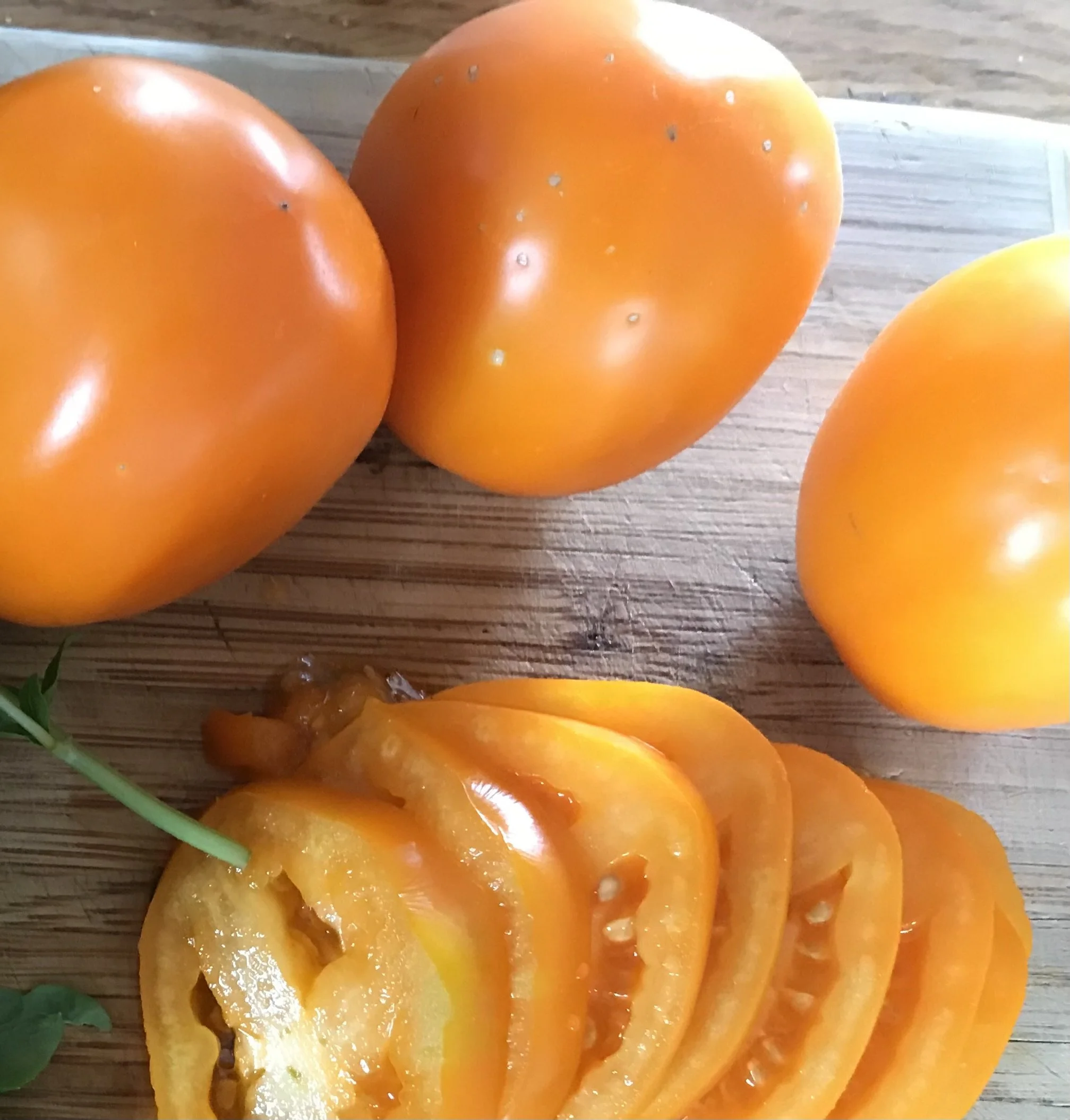 Valencia Tomato 2.Seedling Sale.jpg