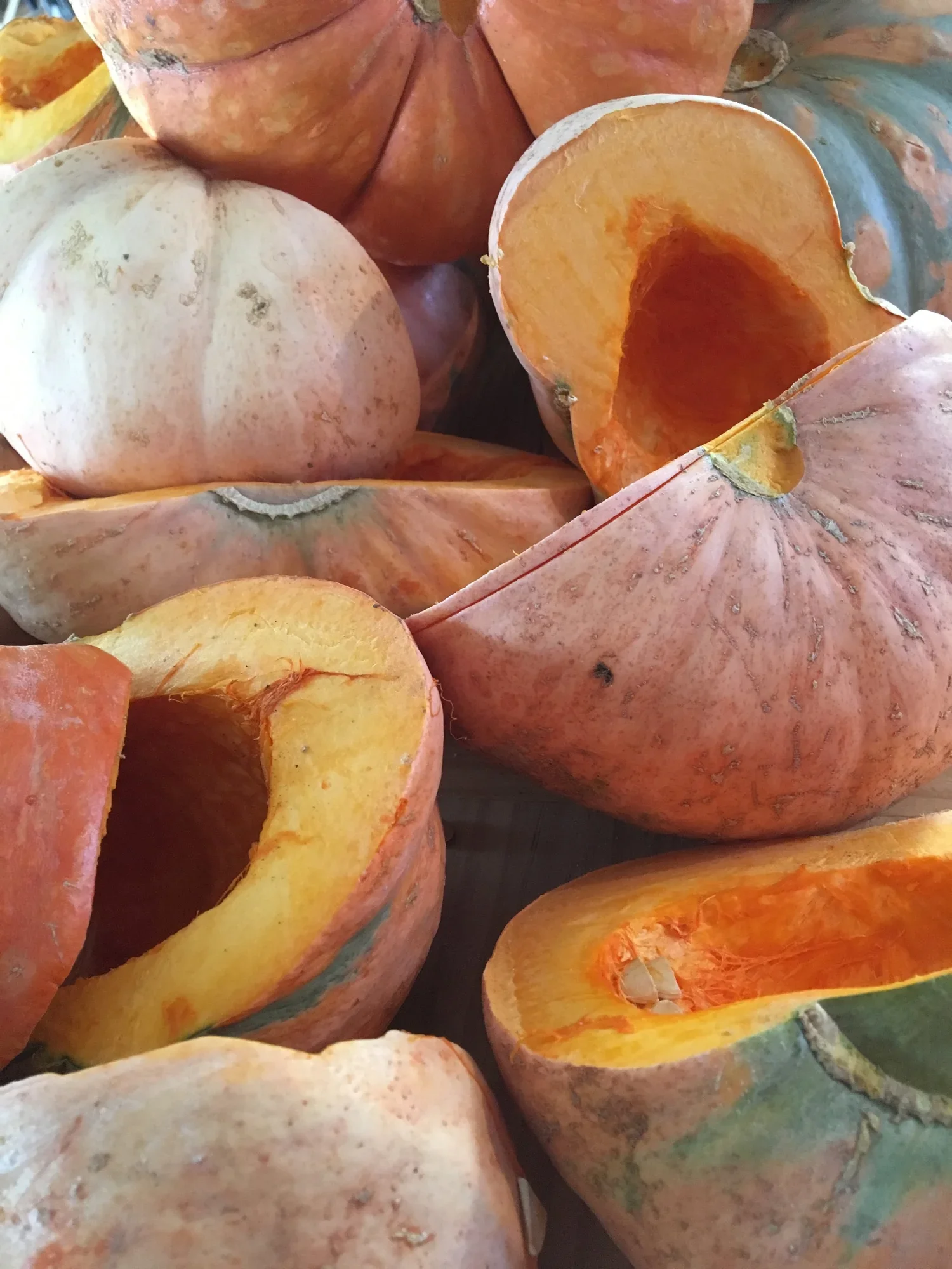 Hubbard Squash Processing.jpg.webp