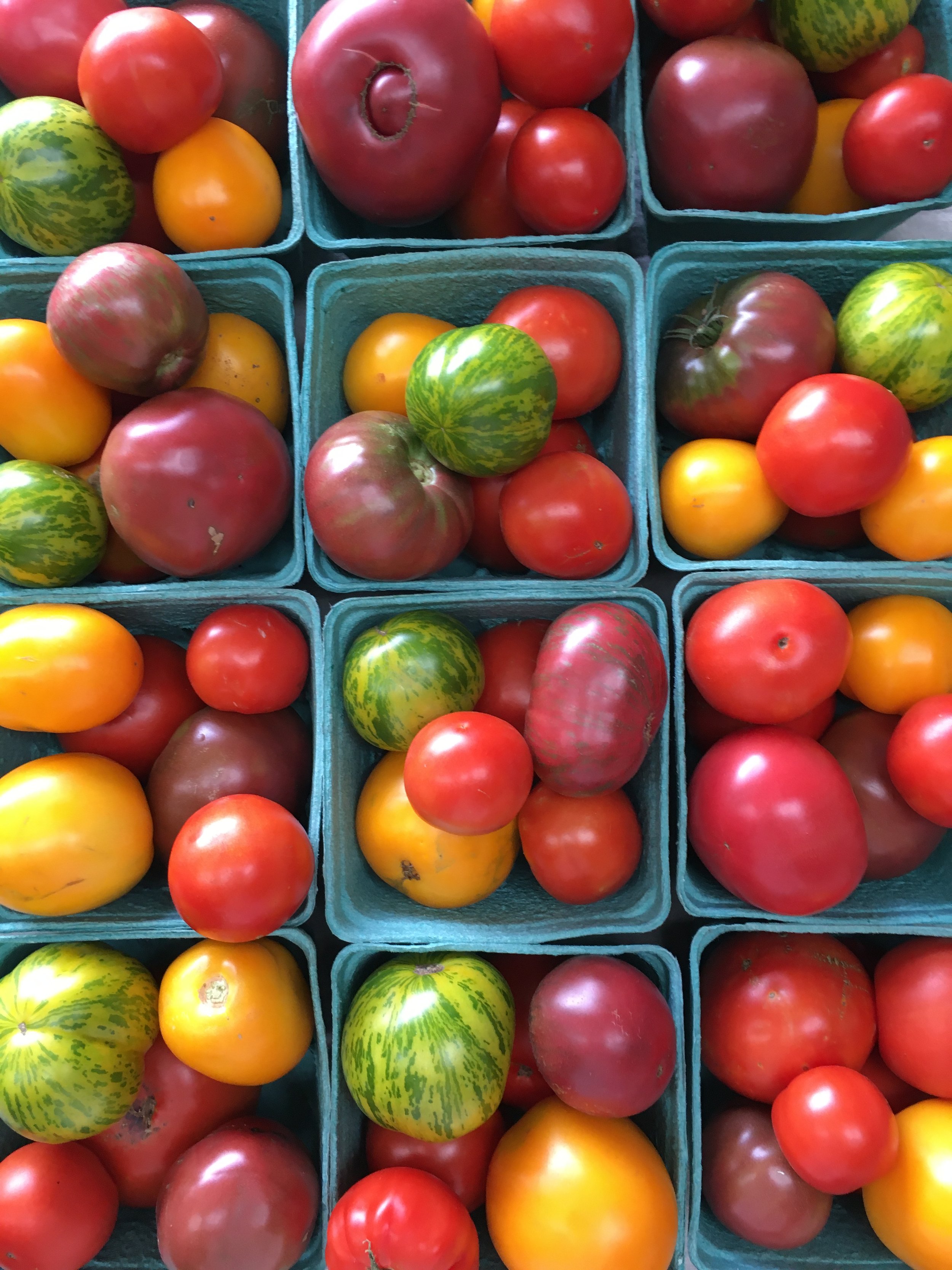 Green Zebra Tomato Mix.Seedling Sale.JPG