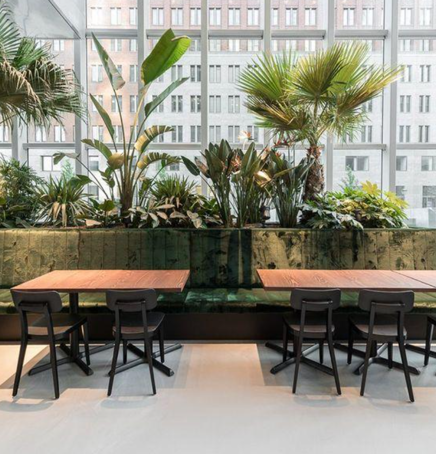 Screenshot 2020-08-15 at 12.55.54 AM.png