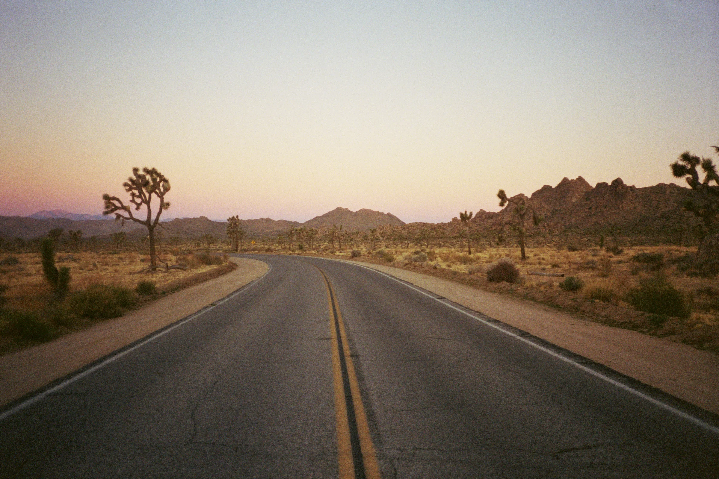 joshua tree - california