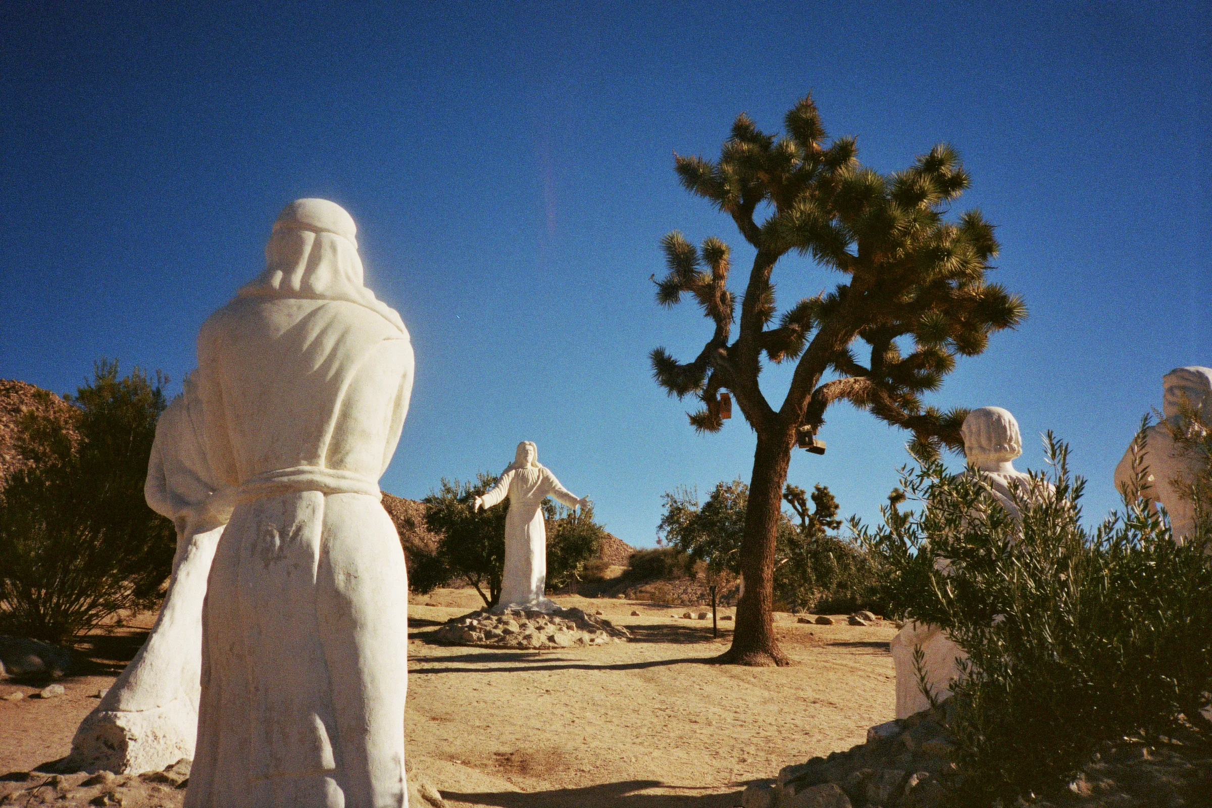 christ - joshua tree - california