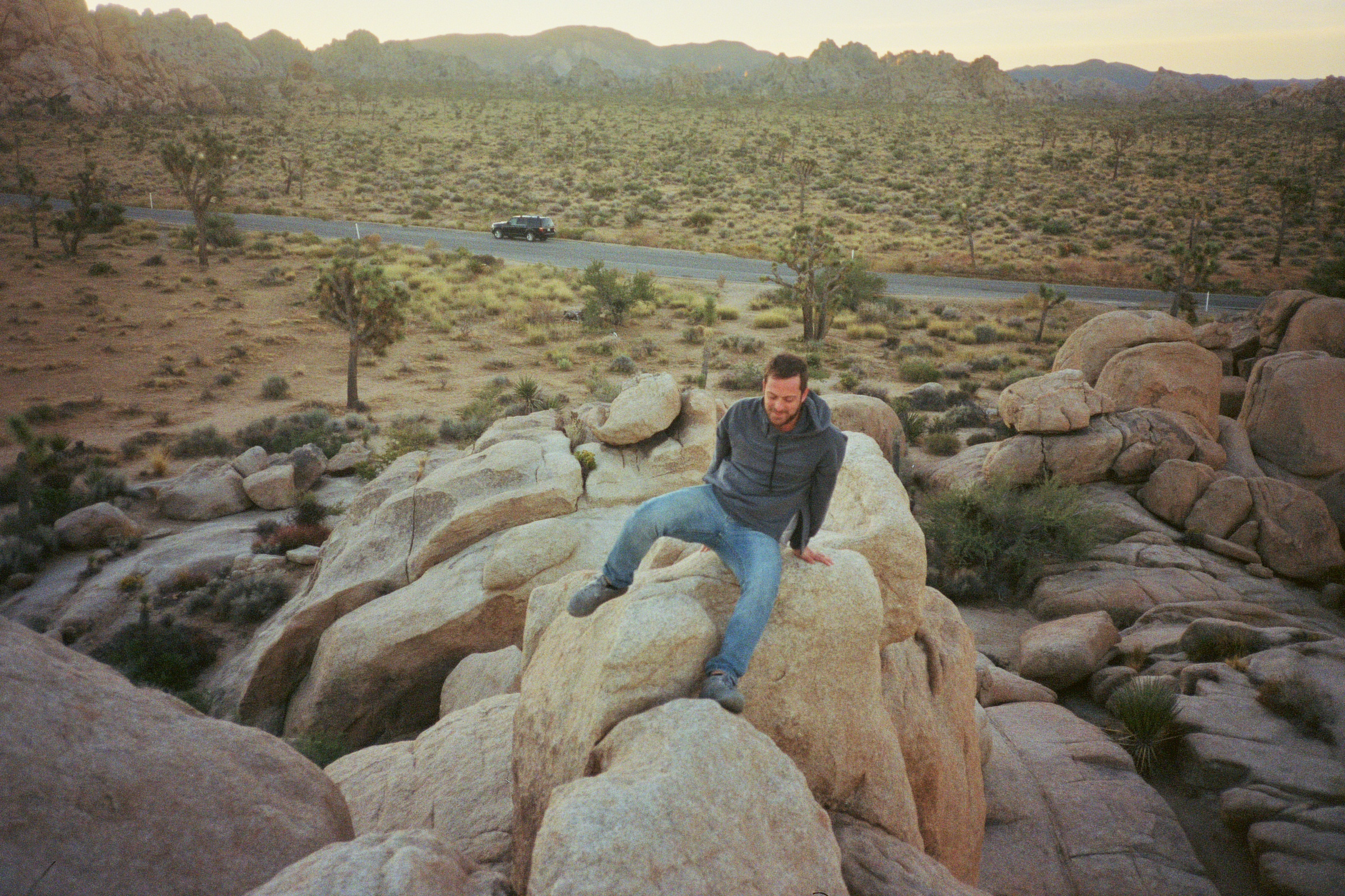 randall m - joshua tree