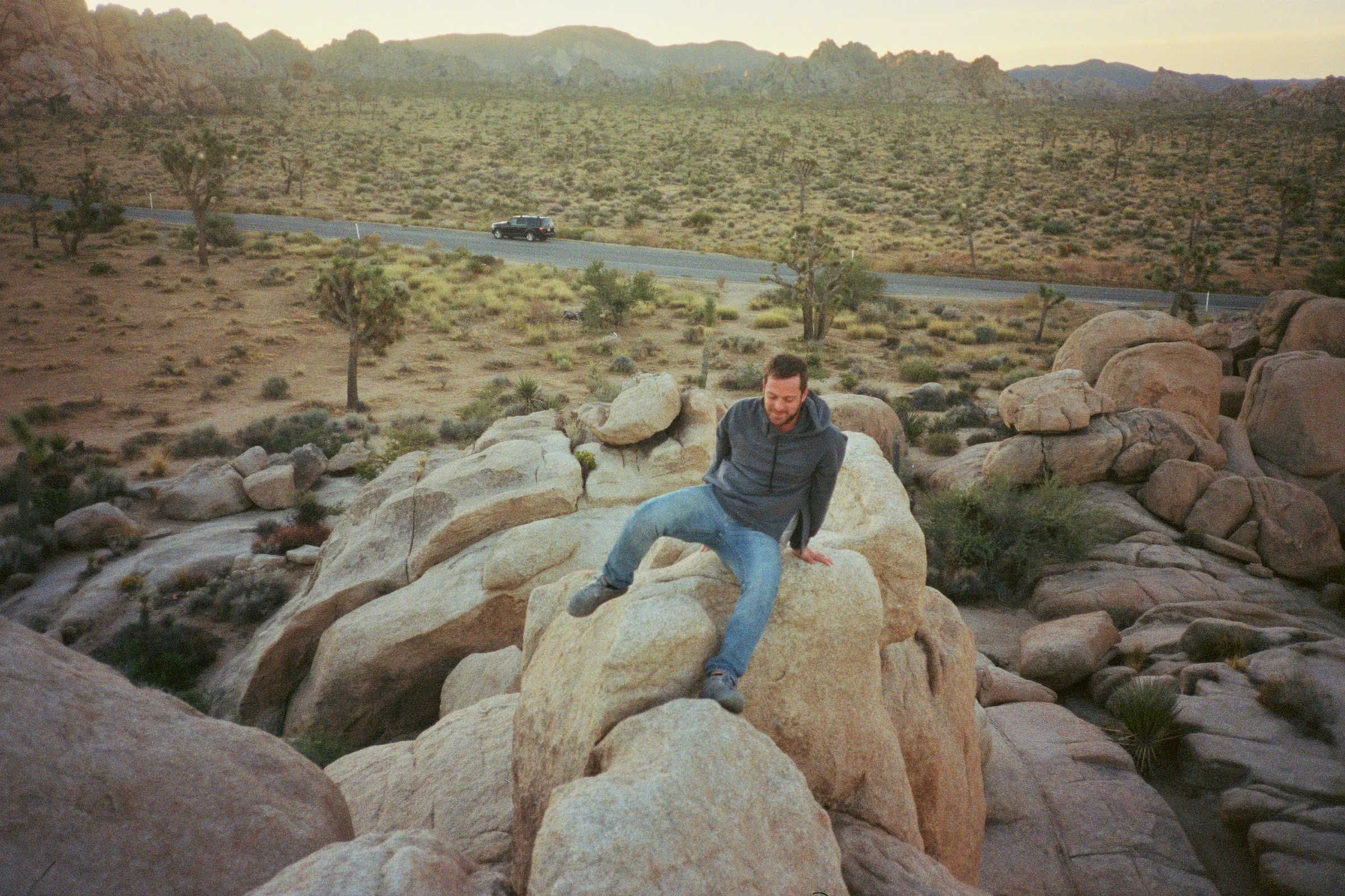randall m - joshua tree