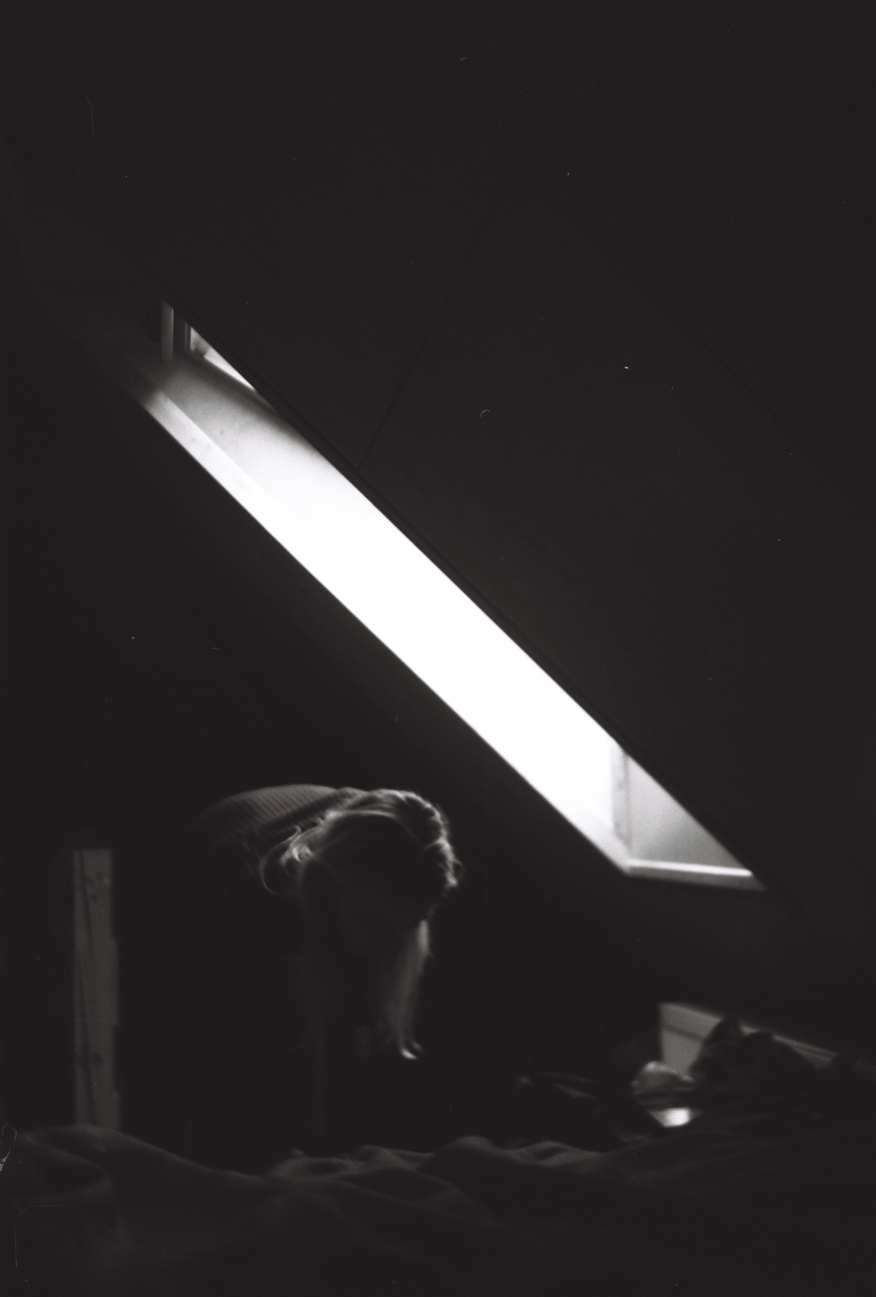attic light - russia
