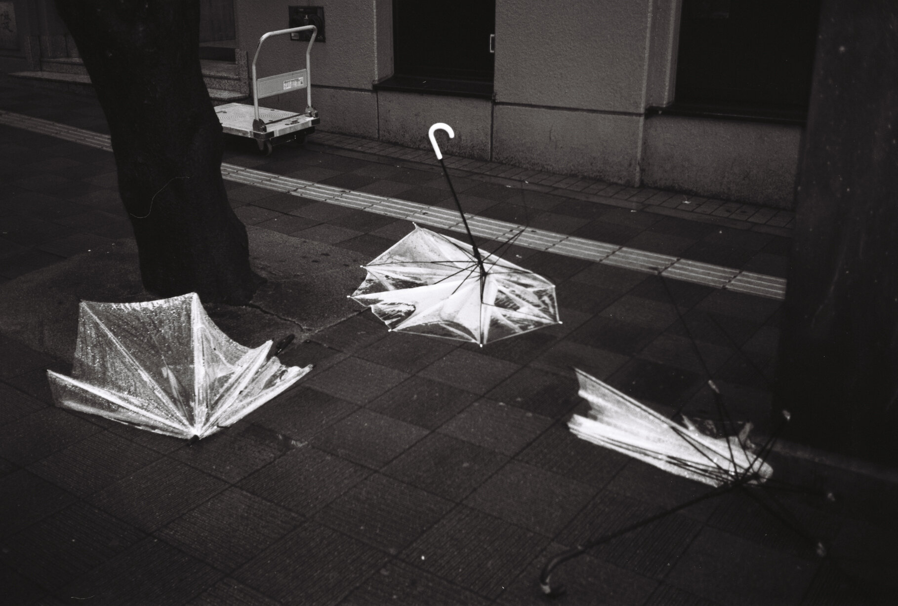 the departed - shibuya