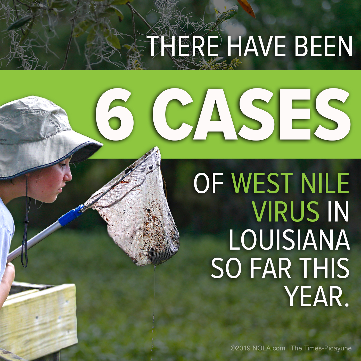 WestNile copy.JPG