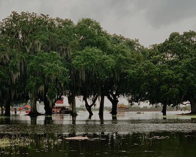 Flood water recedes from beside Highway 23 in Plaquemines Parish as Tropical Storm Barry continues to weaken in Louisiana #storm #tropicalstorm #tropicalstormbarry #barry #la #lacommunity #louisiana #landscape