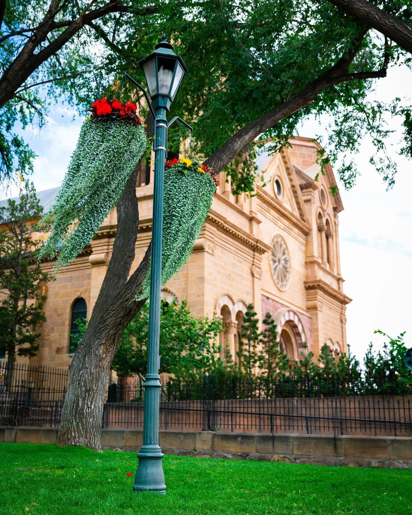 📍 The highlight of Santa Fe: these hanging flower things near The Cathedral Basilica of St. Francis of Assisi.

🏜

#santafe #santafenewmexico #flowerpics