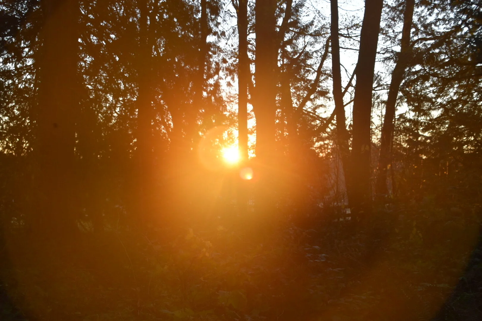 Nous sommes de retour au Canada!