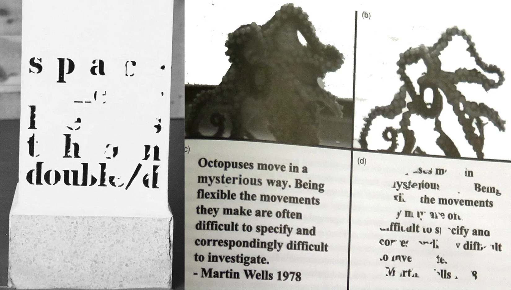  Octopus 