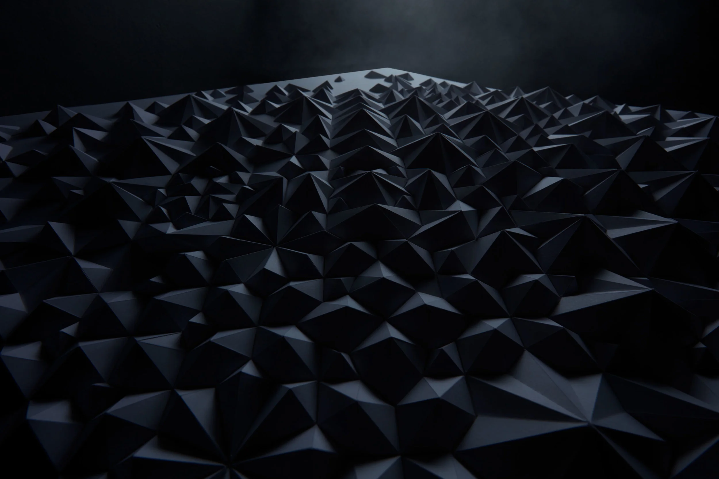 Ara 301 (photographed by Tim Saccenti)