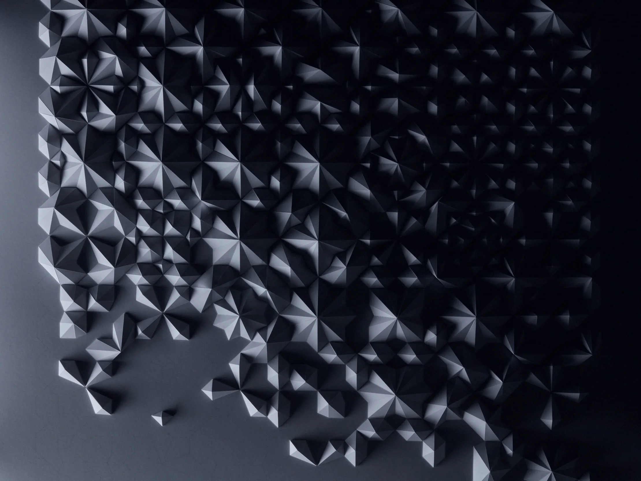 Ara 301 (photographed by Tim Saccenti)
