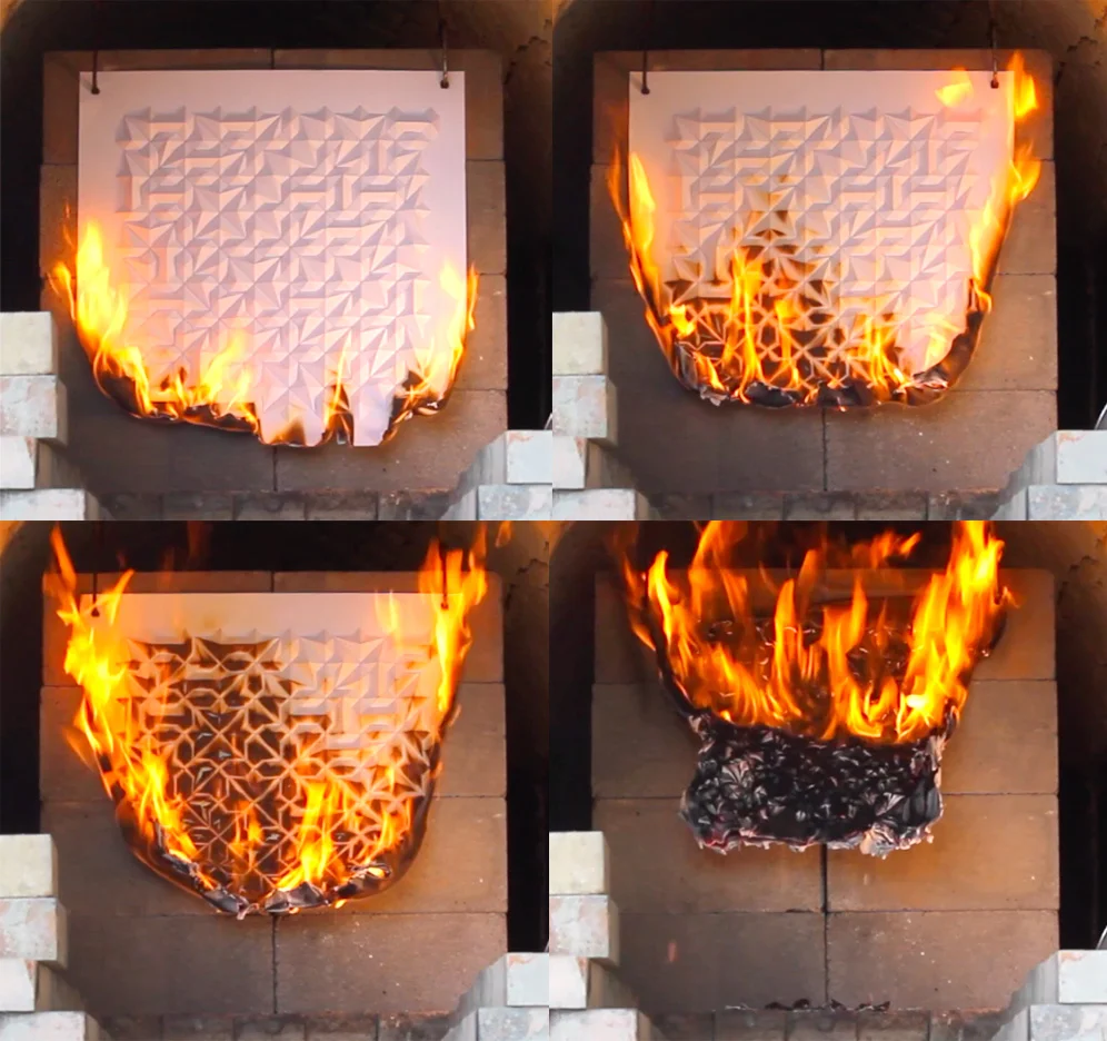 Ara 311 (Burn)
