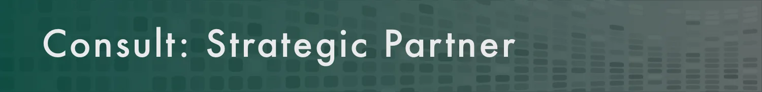 Consult- stragic partner.jpg