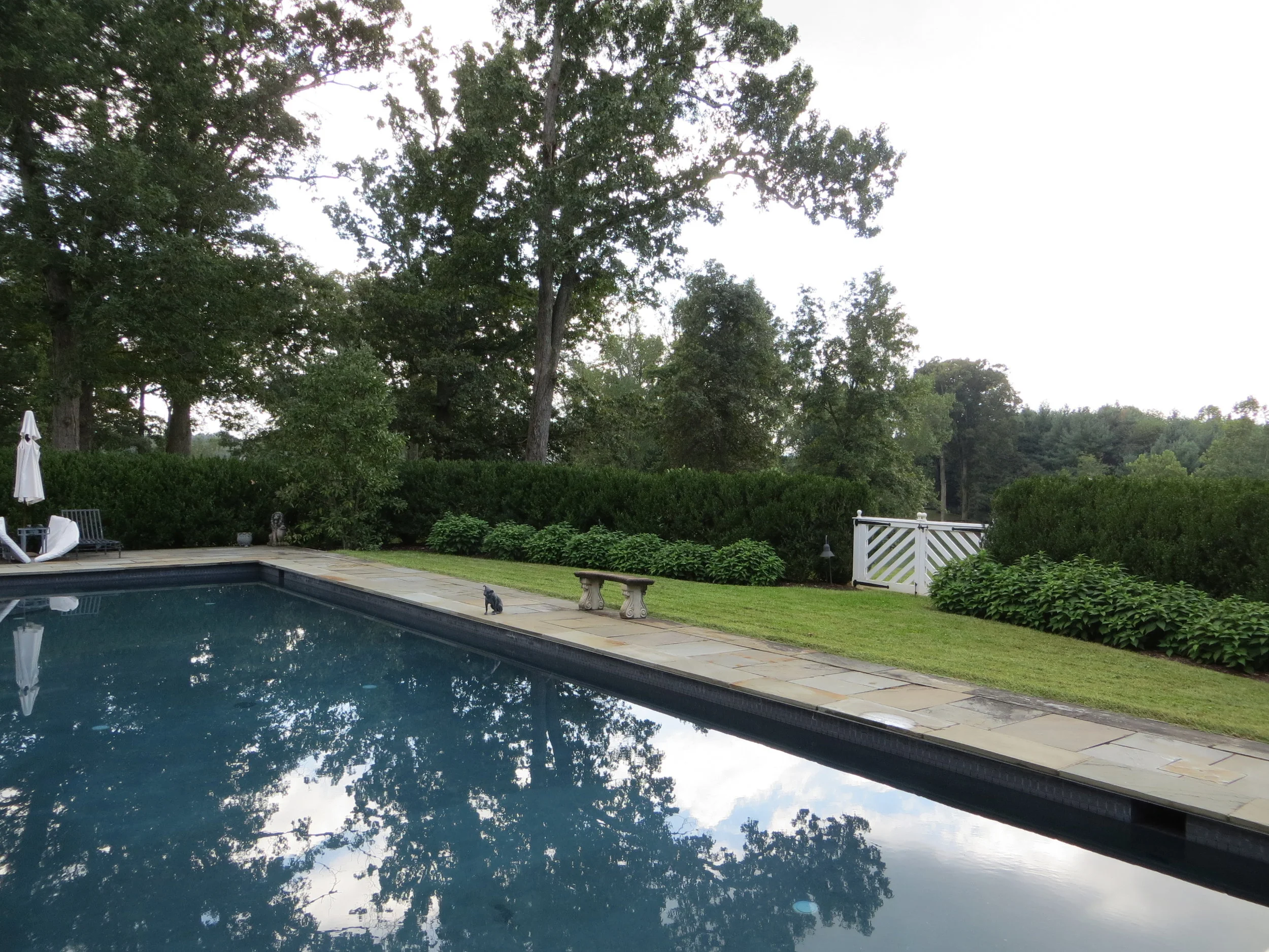 Albemarle Garden_Photo (5).JPG