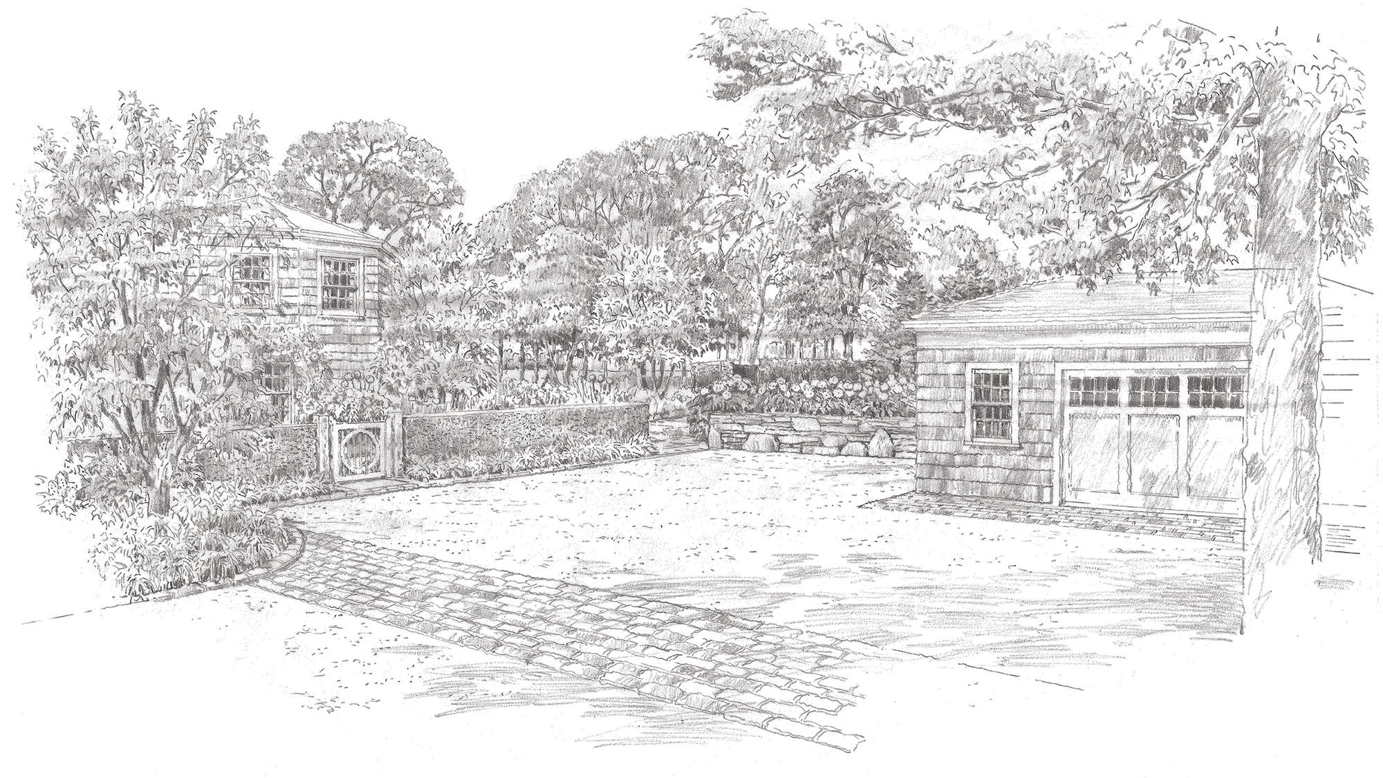 Cape Cod Garden_Drawing (13).jpg