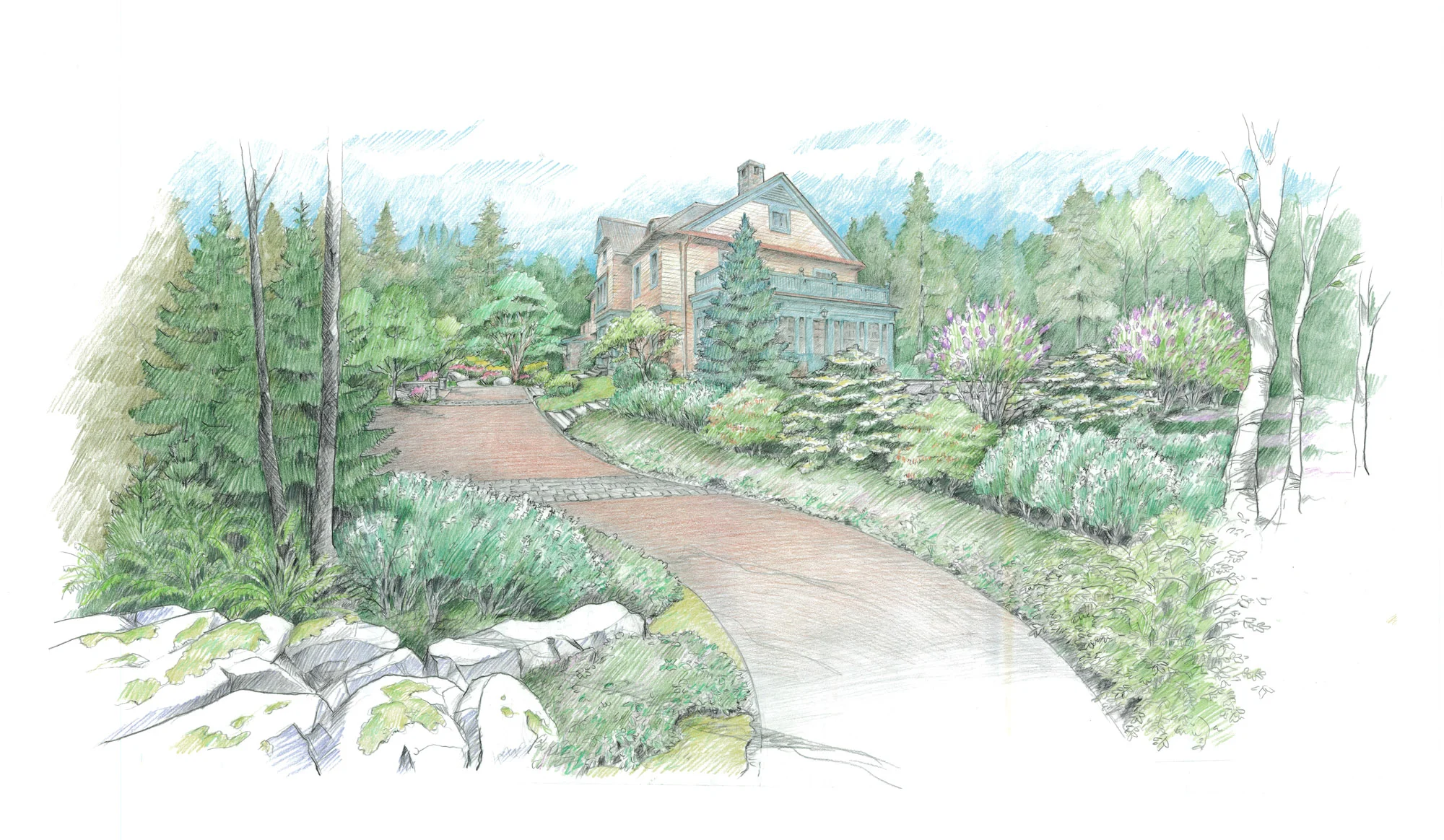 Maine Garden_Drawing (1).jpg