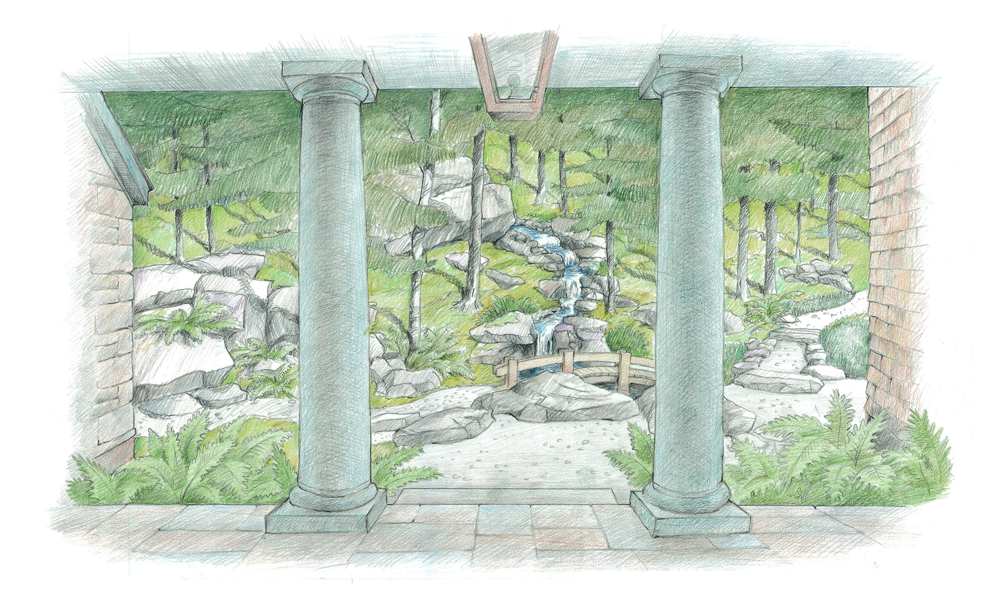 Maine Garden_Drawing (2).jpg