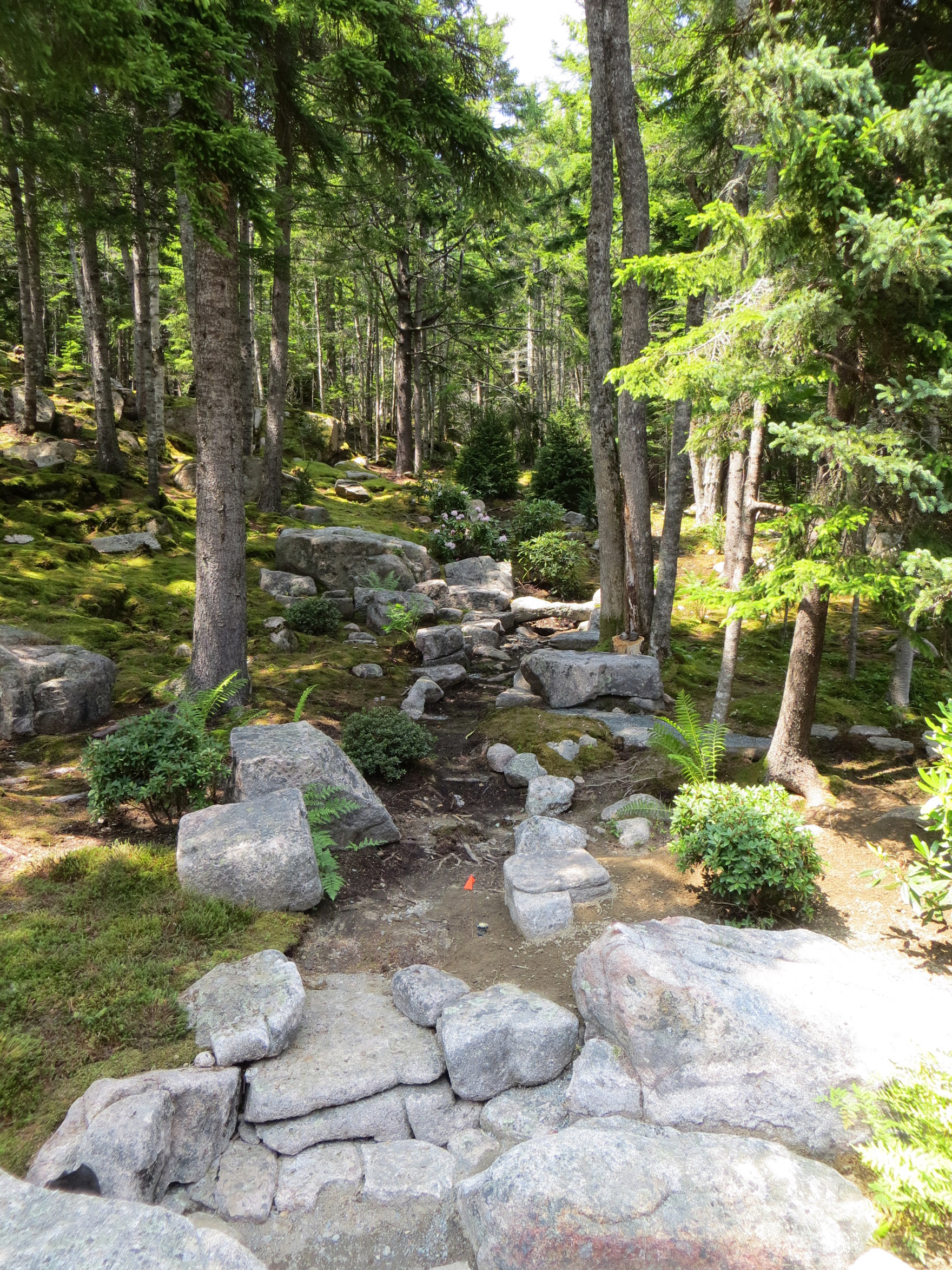 Stream Bed Under Construstion