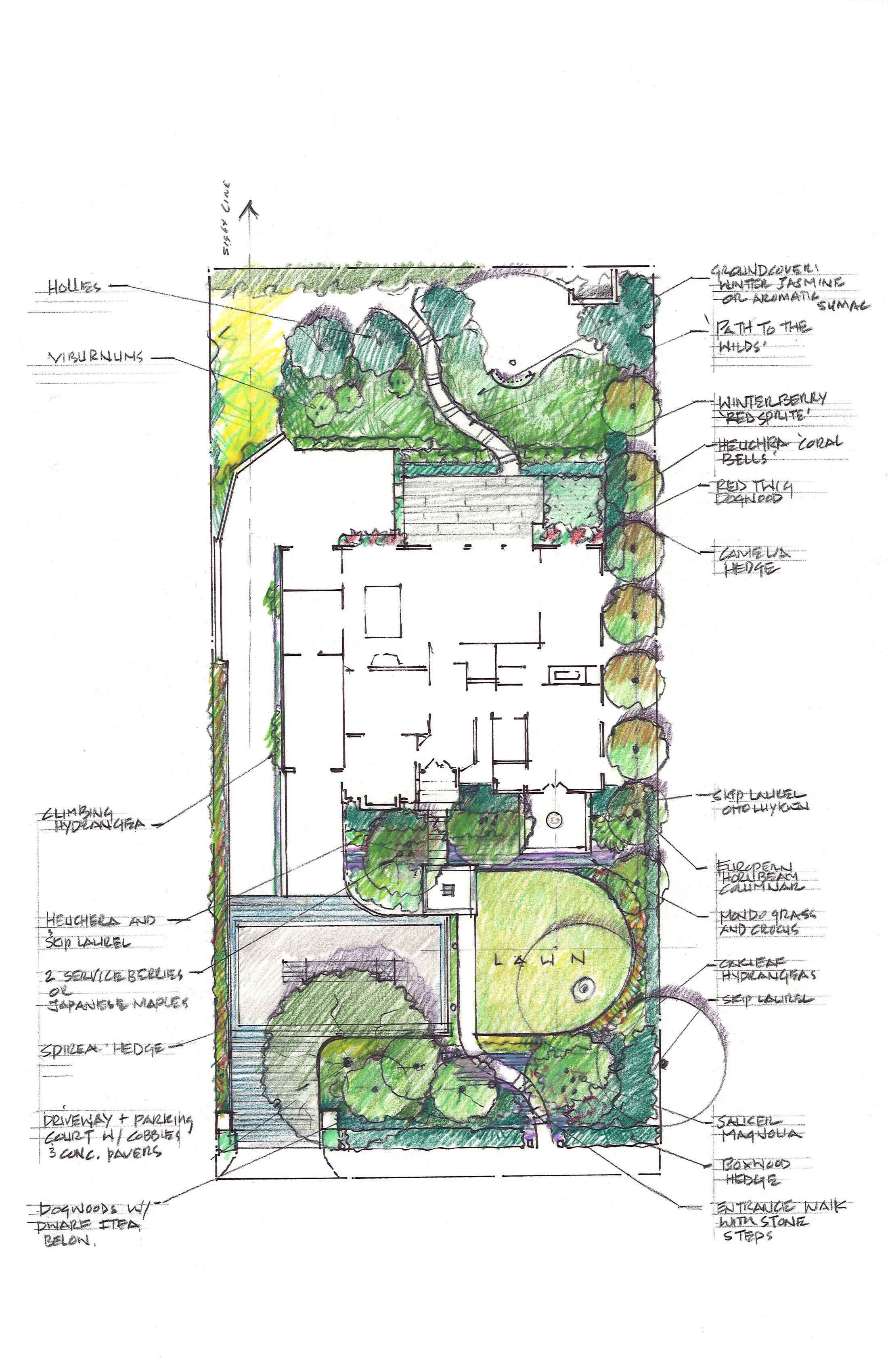 Rugby Garden_Drawing.jpg