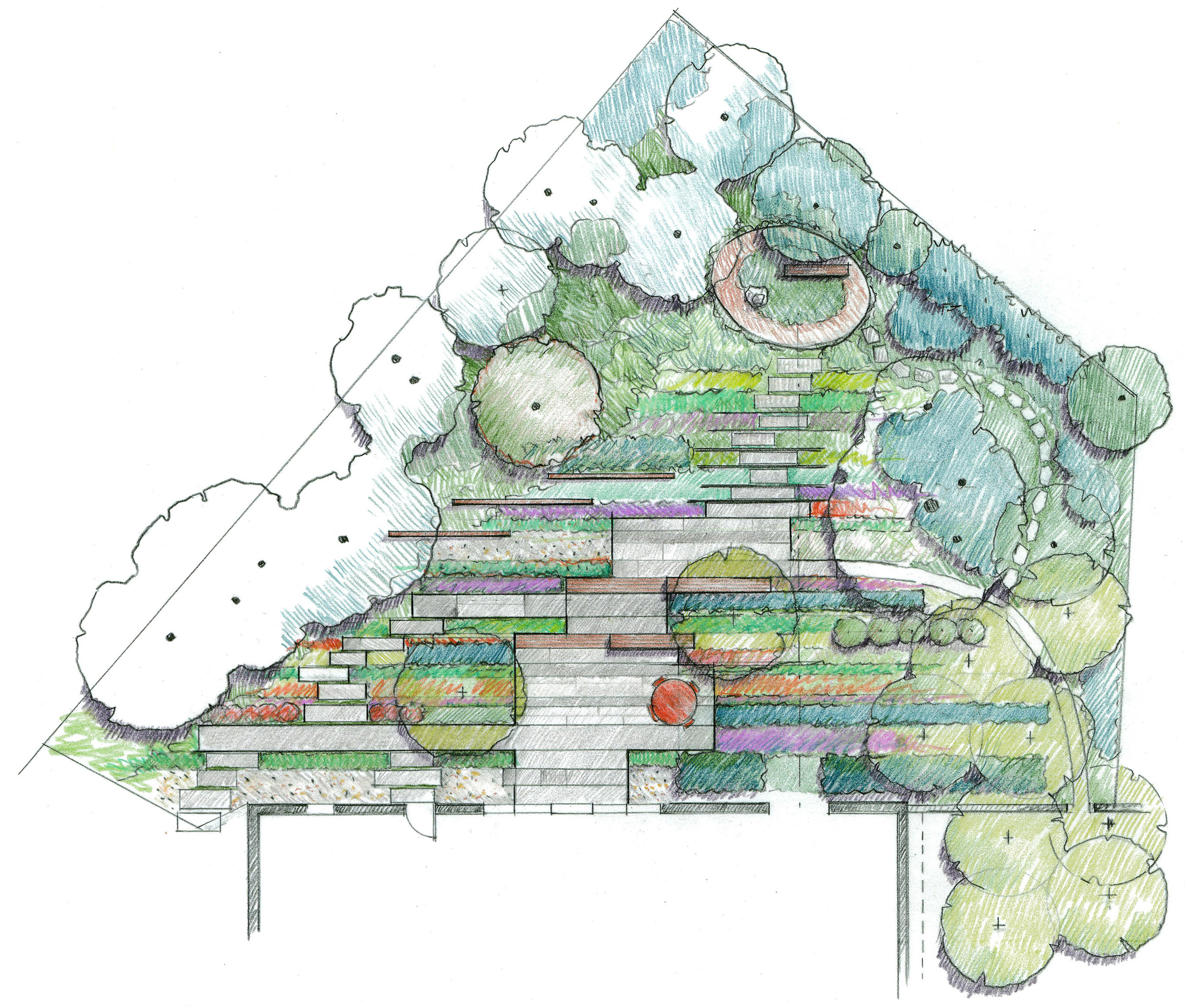 Charlottesville Garden_Drawing (1).jpg