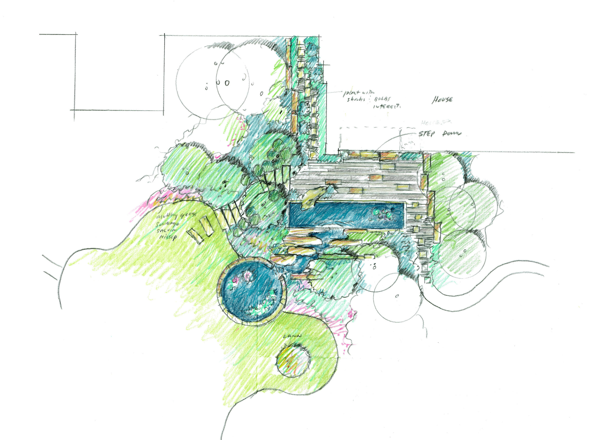 Texas Garden_Drawing (1).jpg