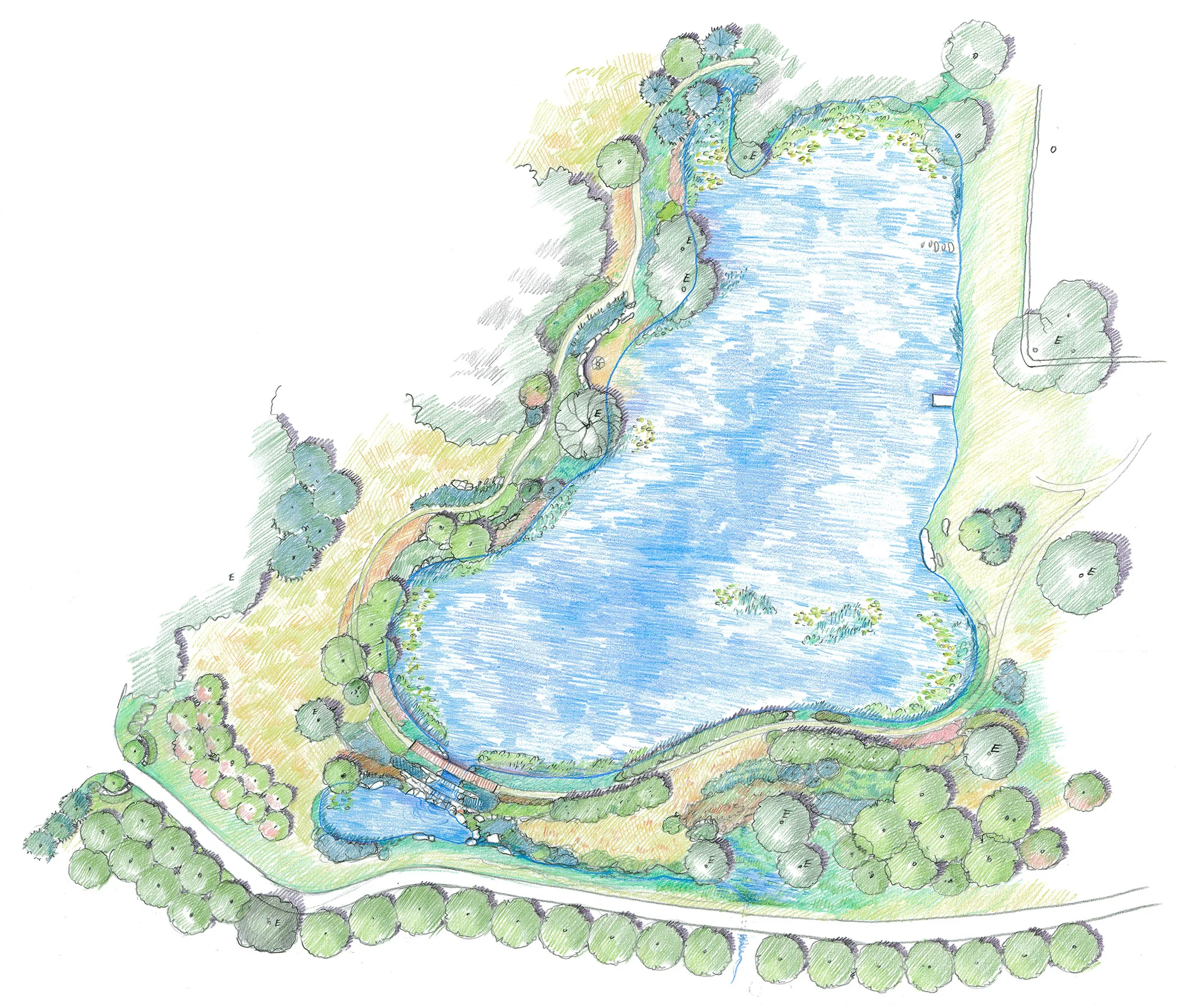 Horse Country_Drawing (3).jpg