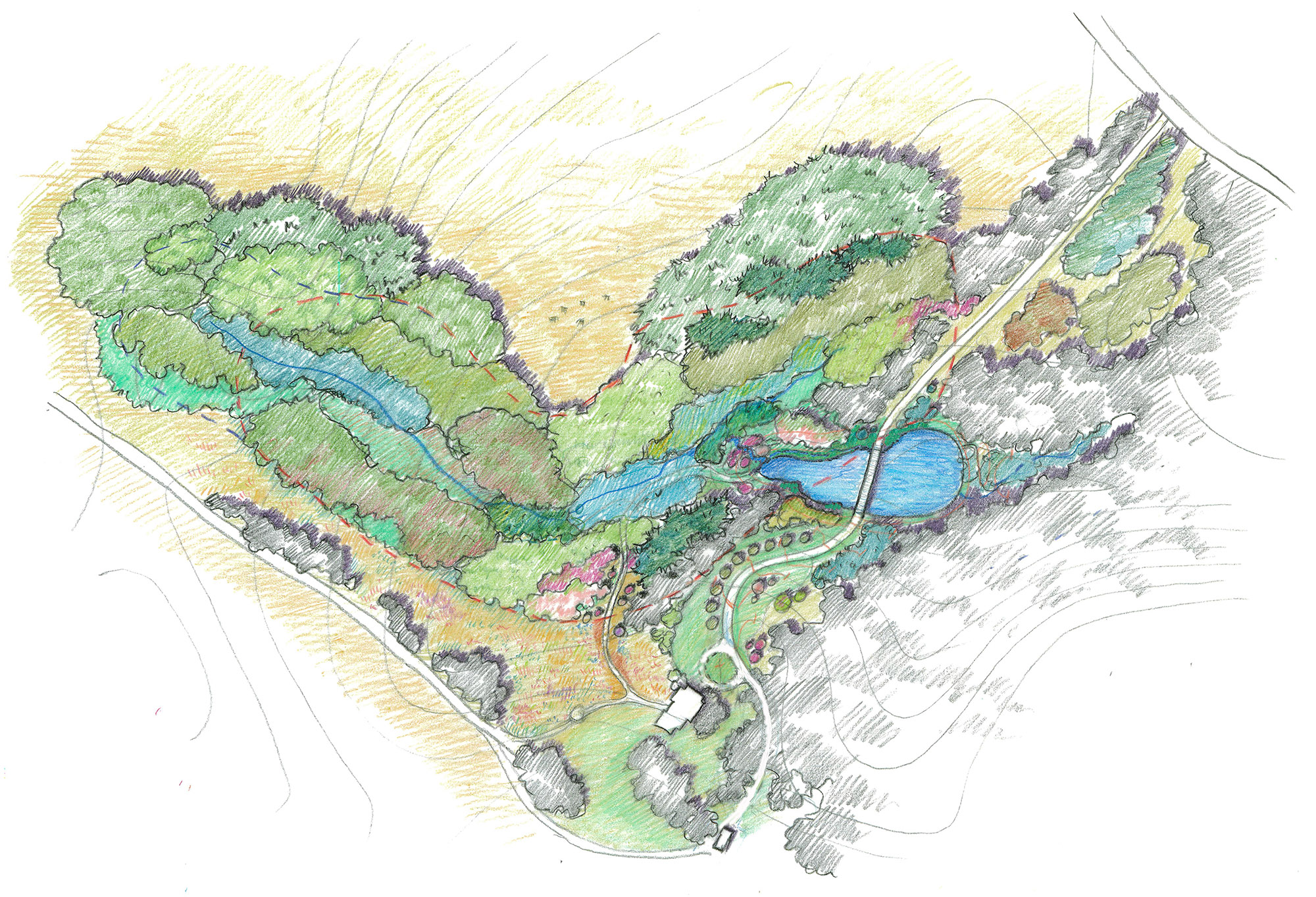Horse Country_Drawing (6).jpg