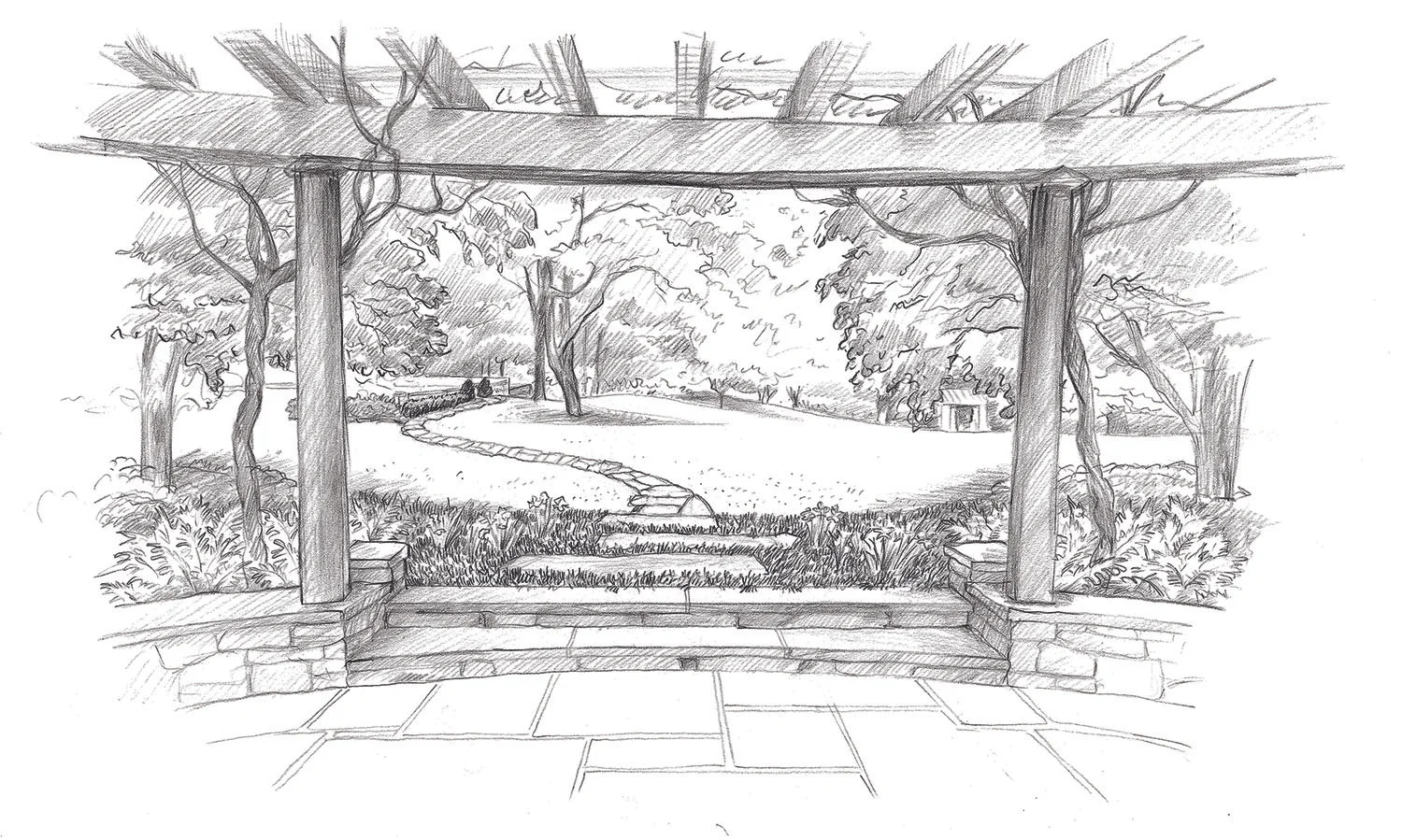 Horse Country_Drawing (5).jpg