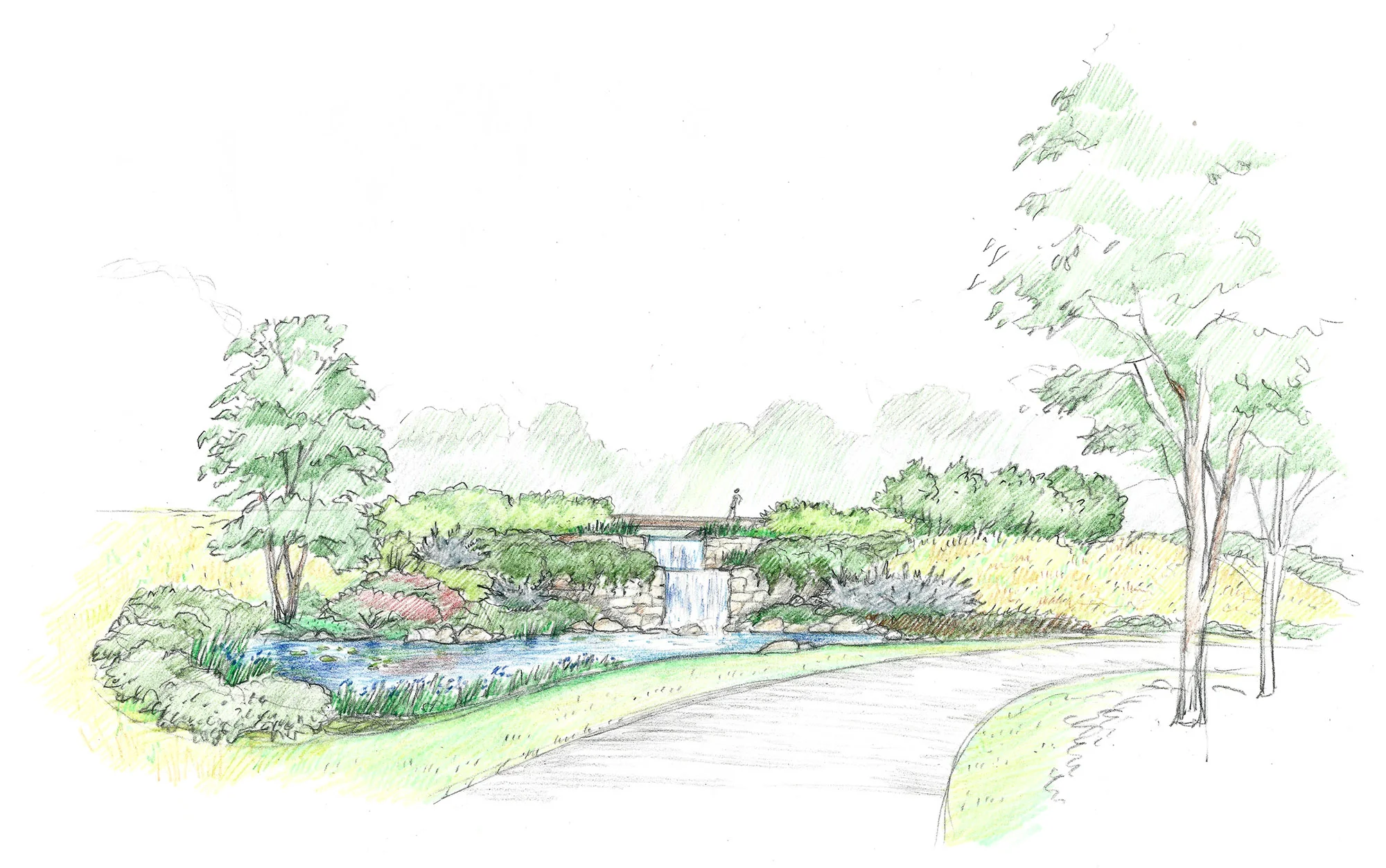 Horse Country_Drawing (8).jpg