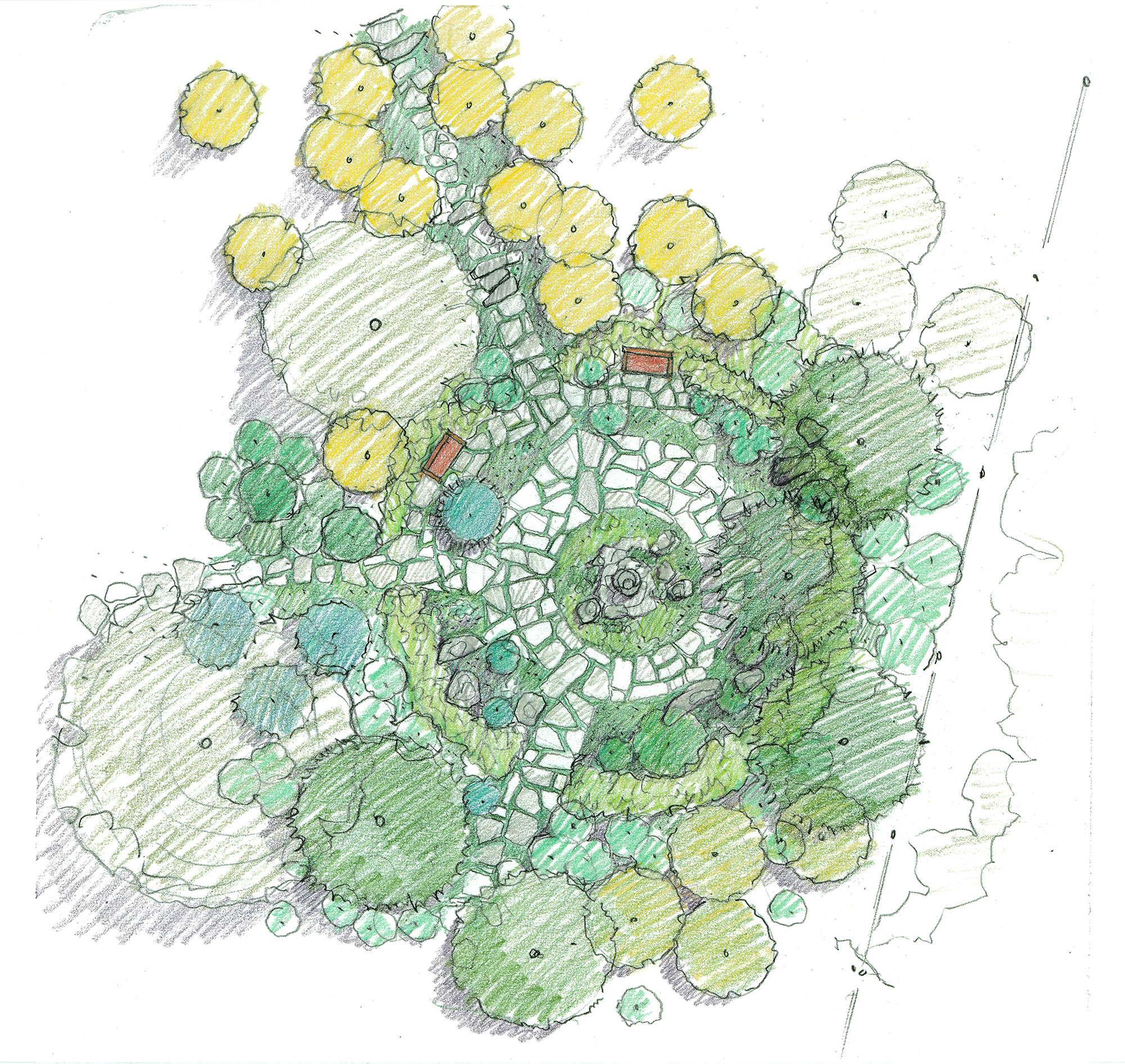 Piedmont Garden_Drawing (1).jpg