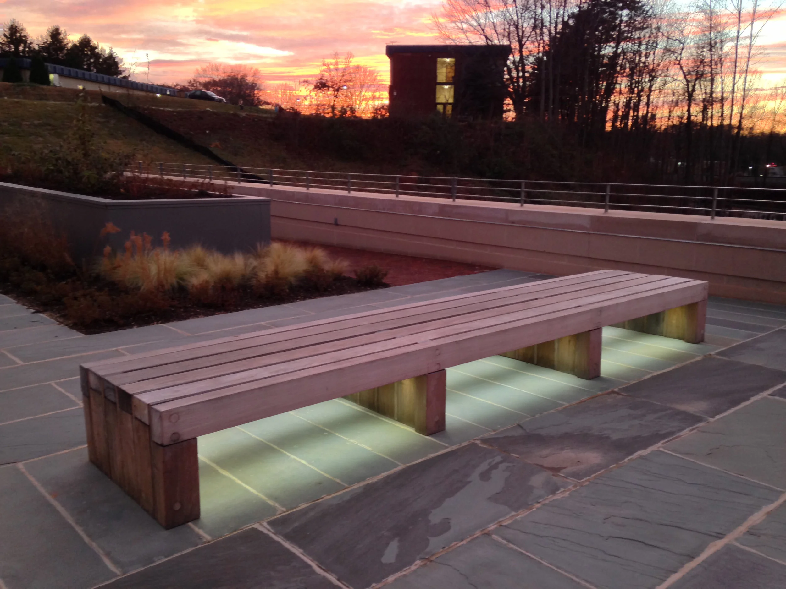 Library_Photo (13).JPG