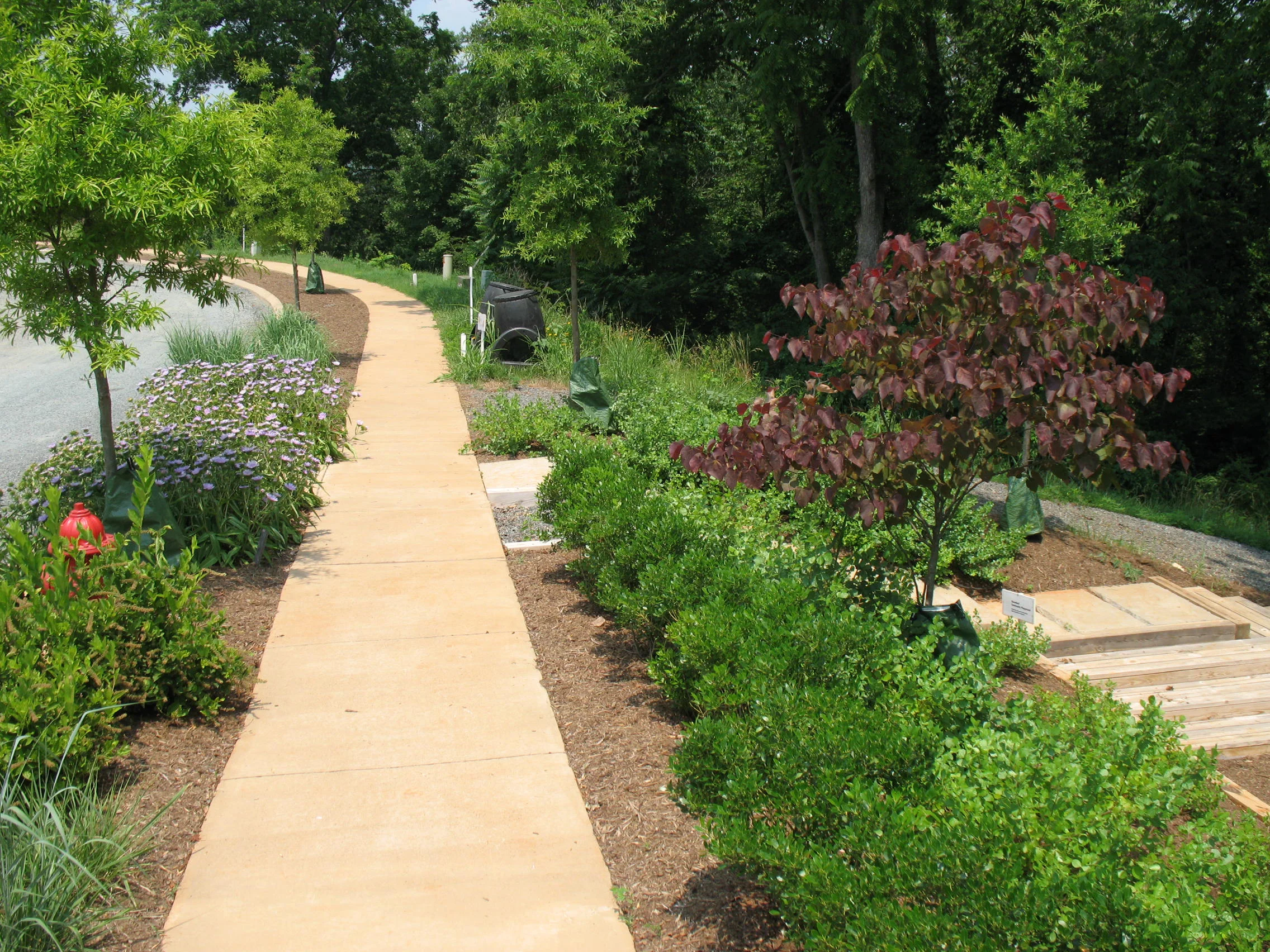 RiverBluff_Photo (6).JPG