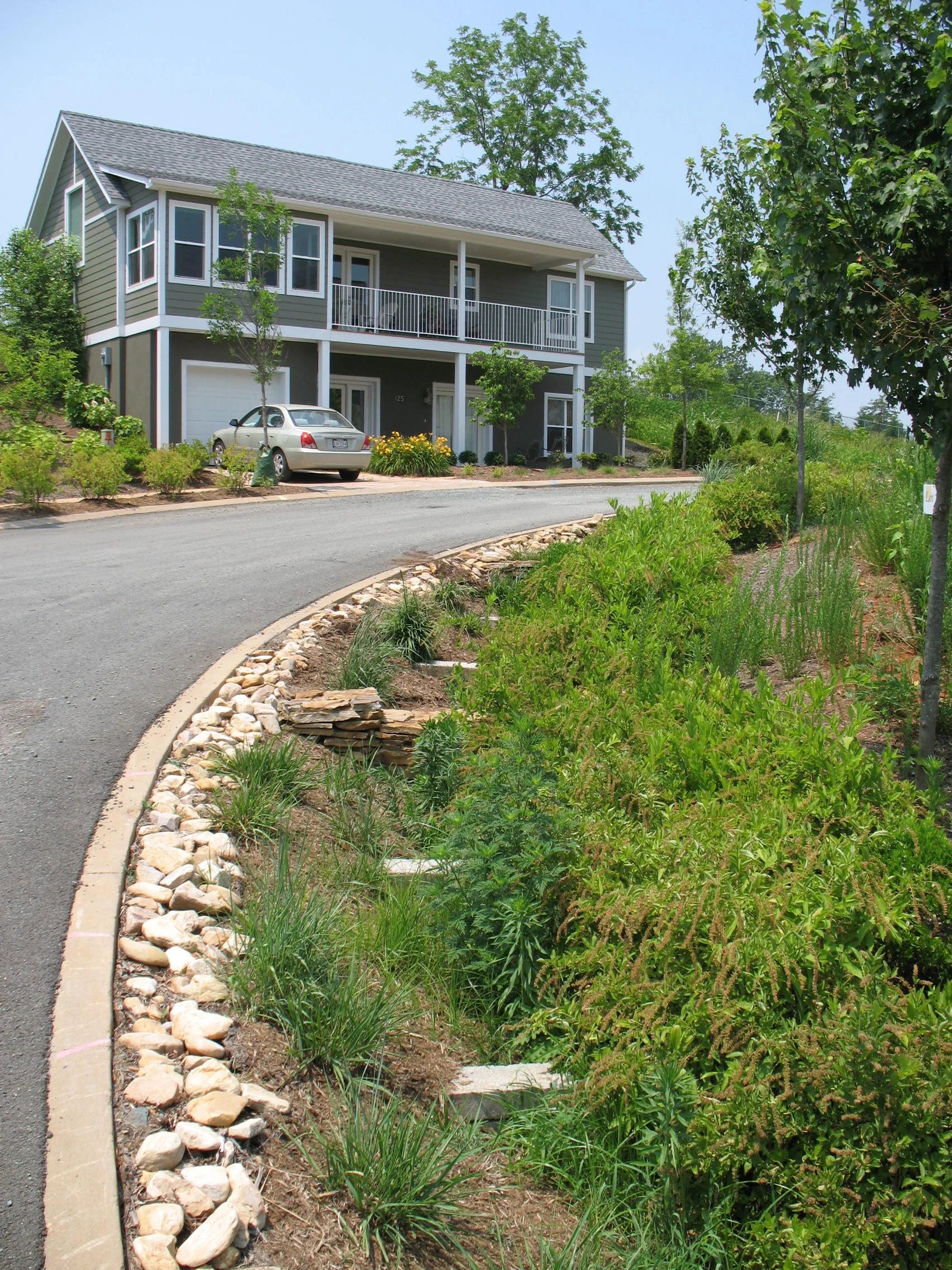 RiverBluff_Photo (8).JPG