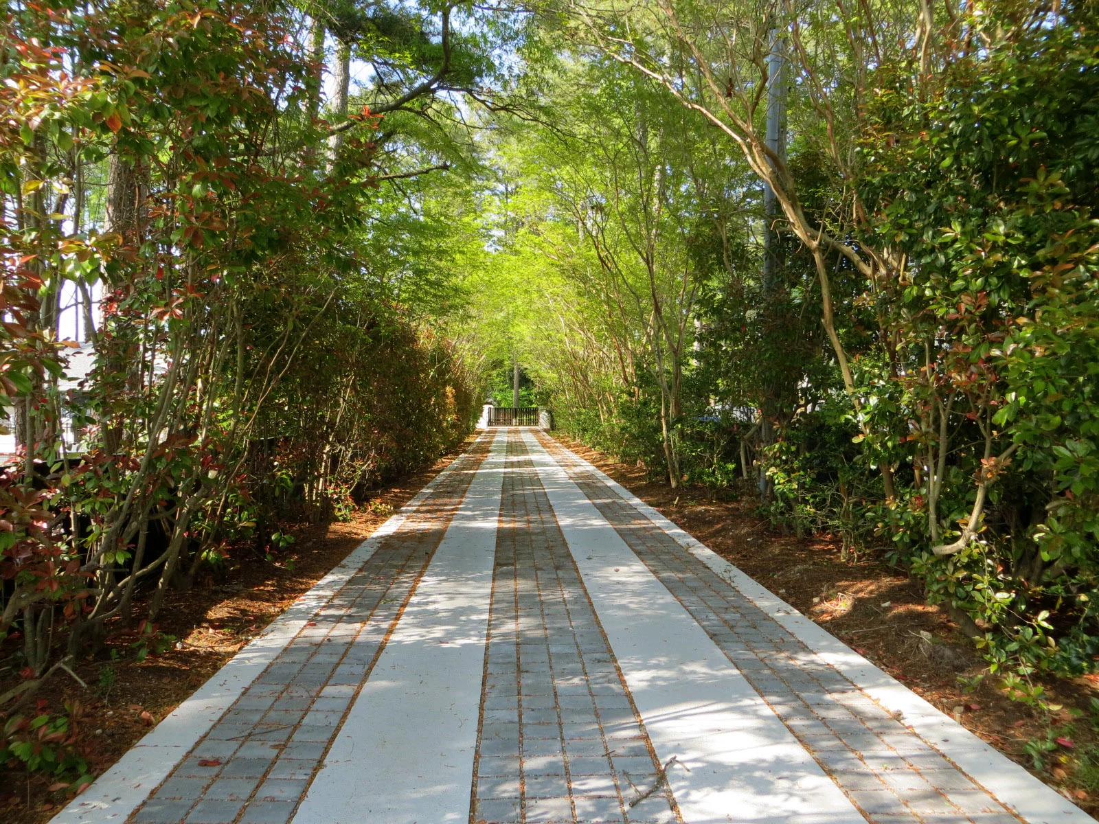 Virginia Beach_Photo (11).JPG
