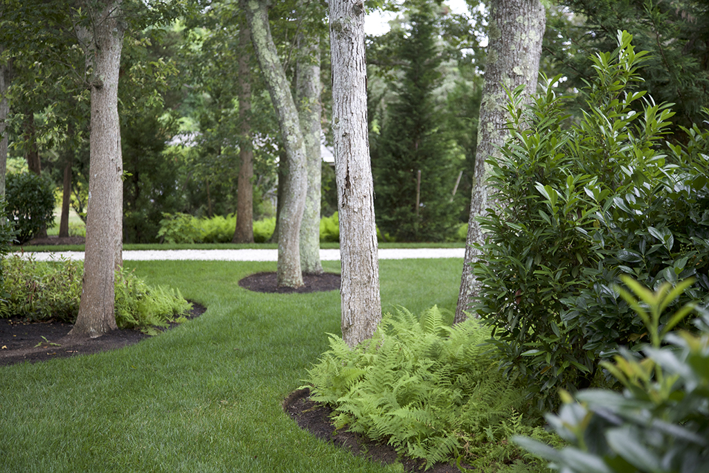 Cape Cod Garden_Photo (13).jpg