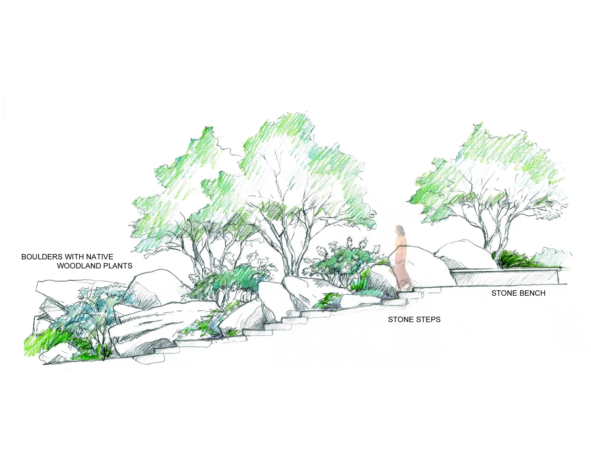 Blue Ridge Garden_Drawing (6)_resize.jpg