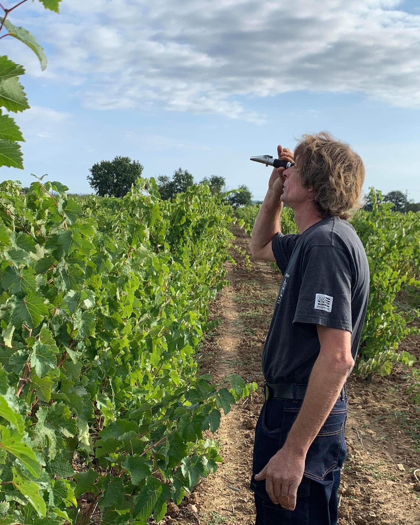 Sebastien Dervieux AKA Babass is one of the greatest on so many levels; generous, hilarious and one hell of a farmer &amp; &quot;contemplator of spontaneous fermentation&quot;. Let's not forget about Agn&egrave;s (pic #2), his partner in life, farmin